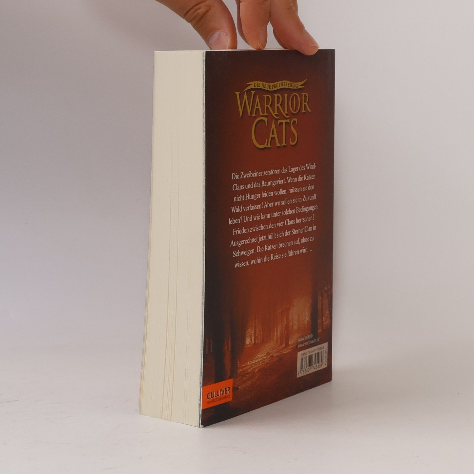 Erin Hunter Warrior Cats. Die neue Prophezeiung Band 3. Morgenröte