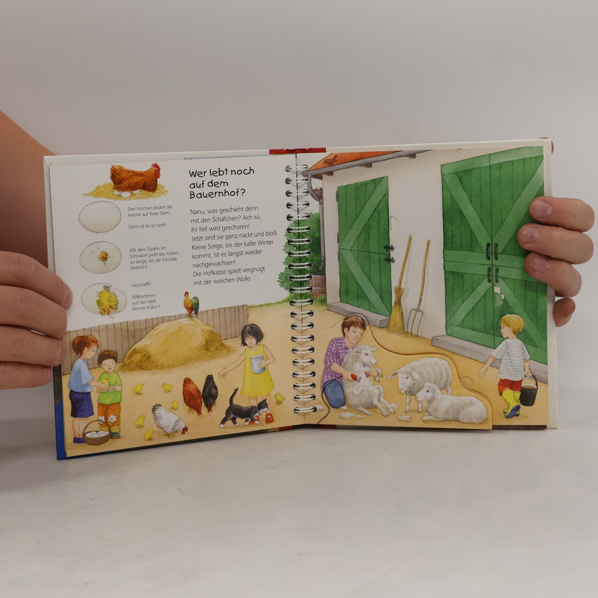 Katja Reider Der Bauernhof