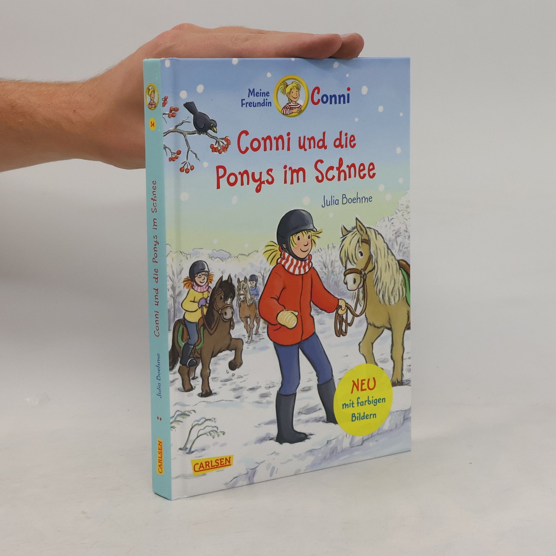 Julia Boehme Conni und die Ponys im Schnee
