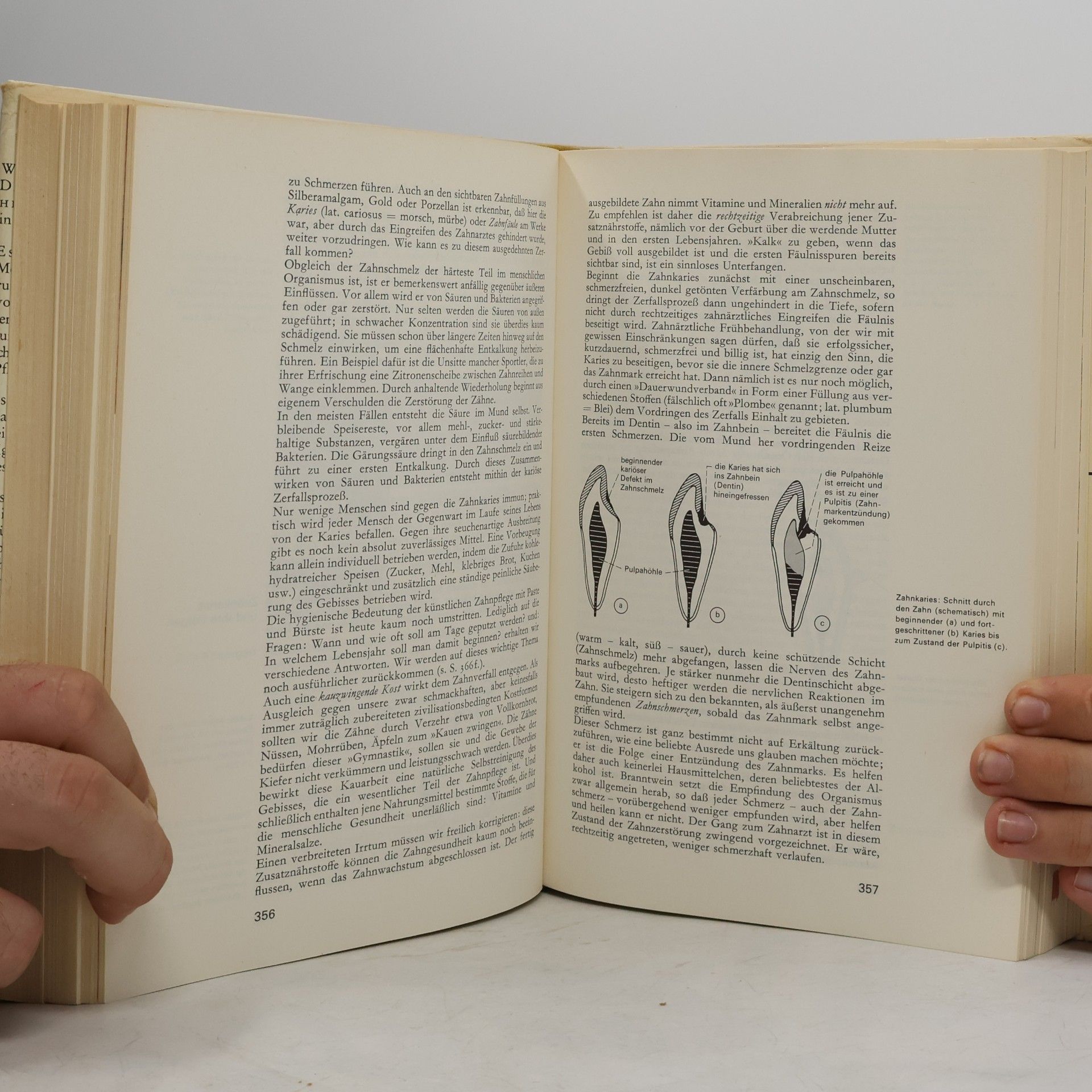 Gerhard Venzmer Das neue große Gesundheitsbuch