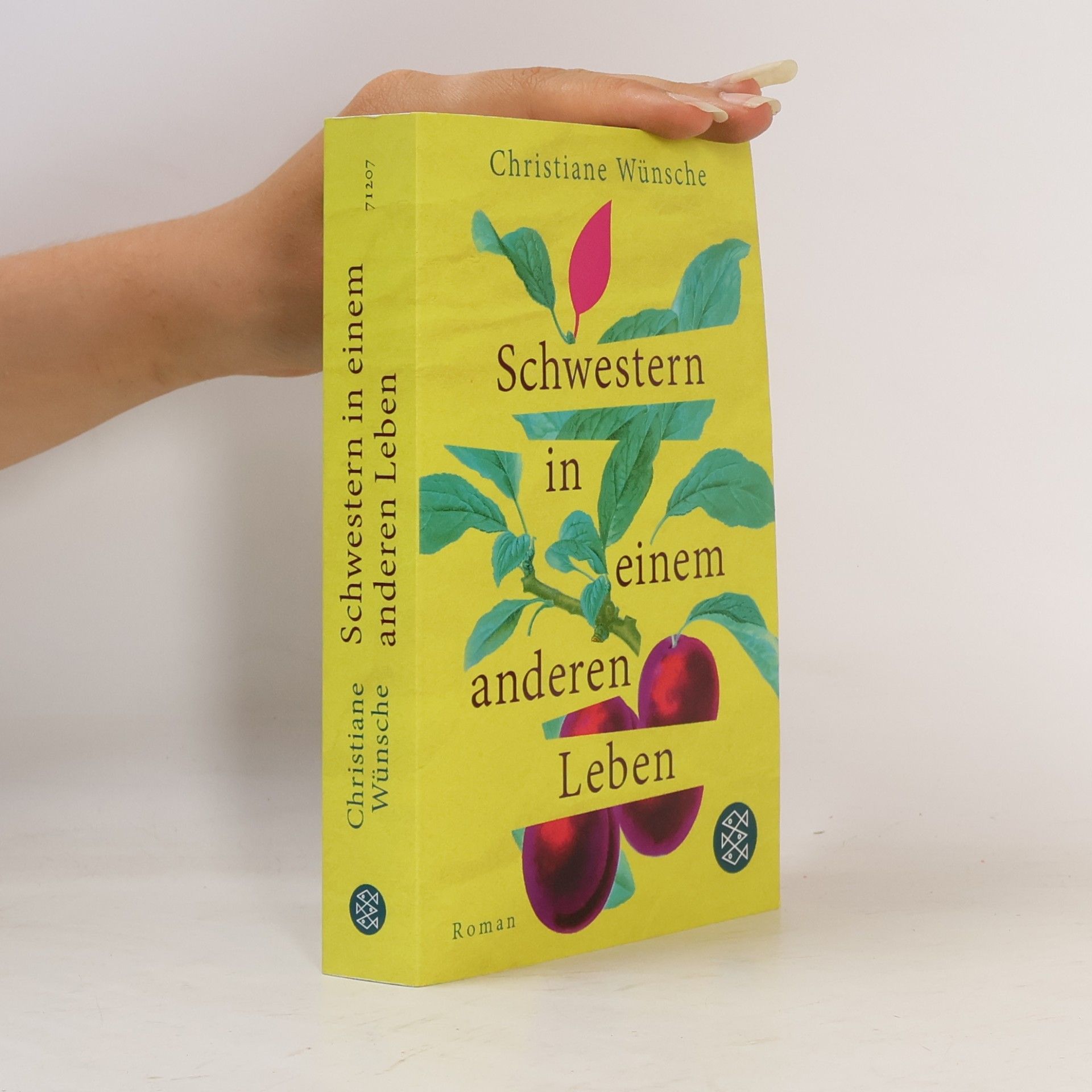 Christiane Wünsche Schwestern in einem anderen Leben