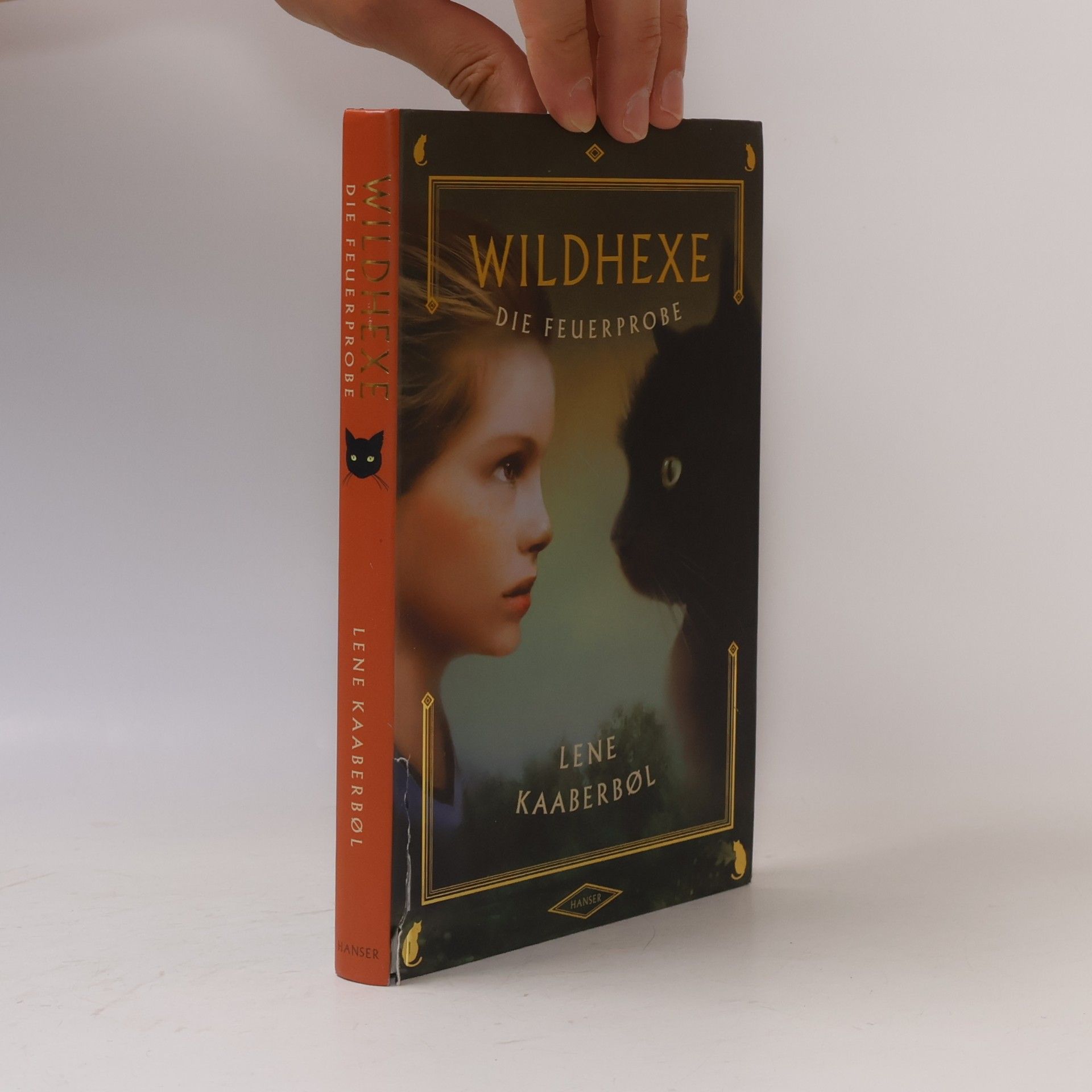 Lene Kaaberbøl Wildhexe die Feuerprobe