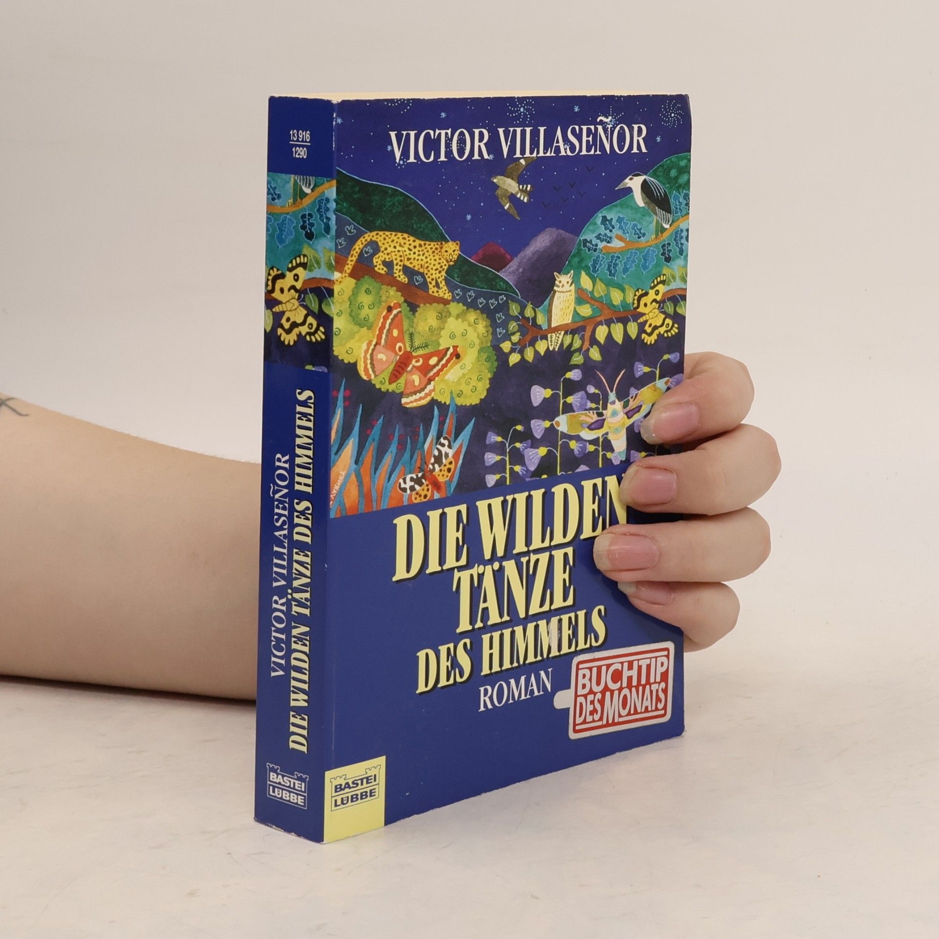 Victor Villaseñor Die wilden Tänze des Himmels