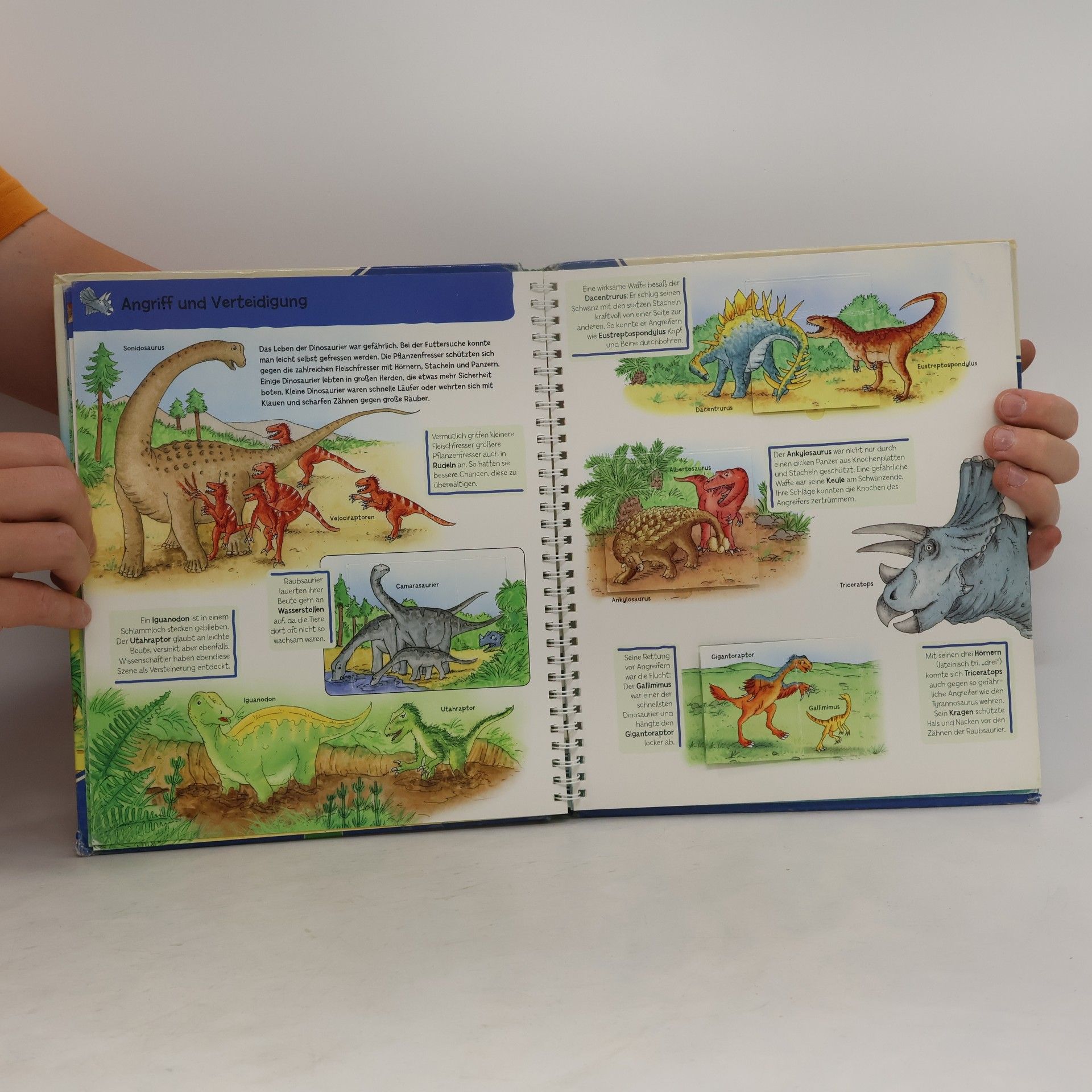 Autorenkollektiv Dinosaurier