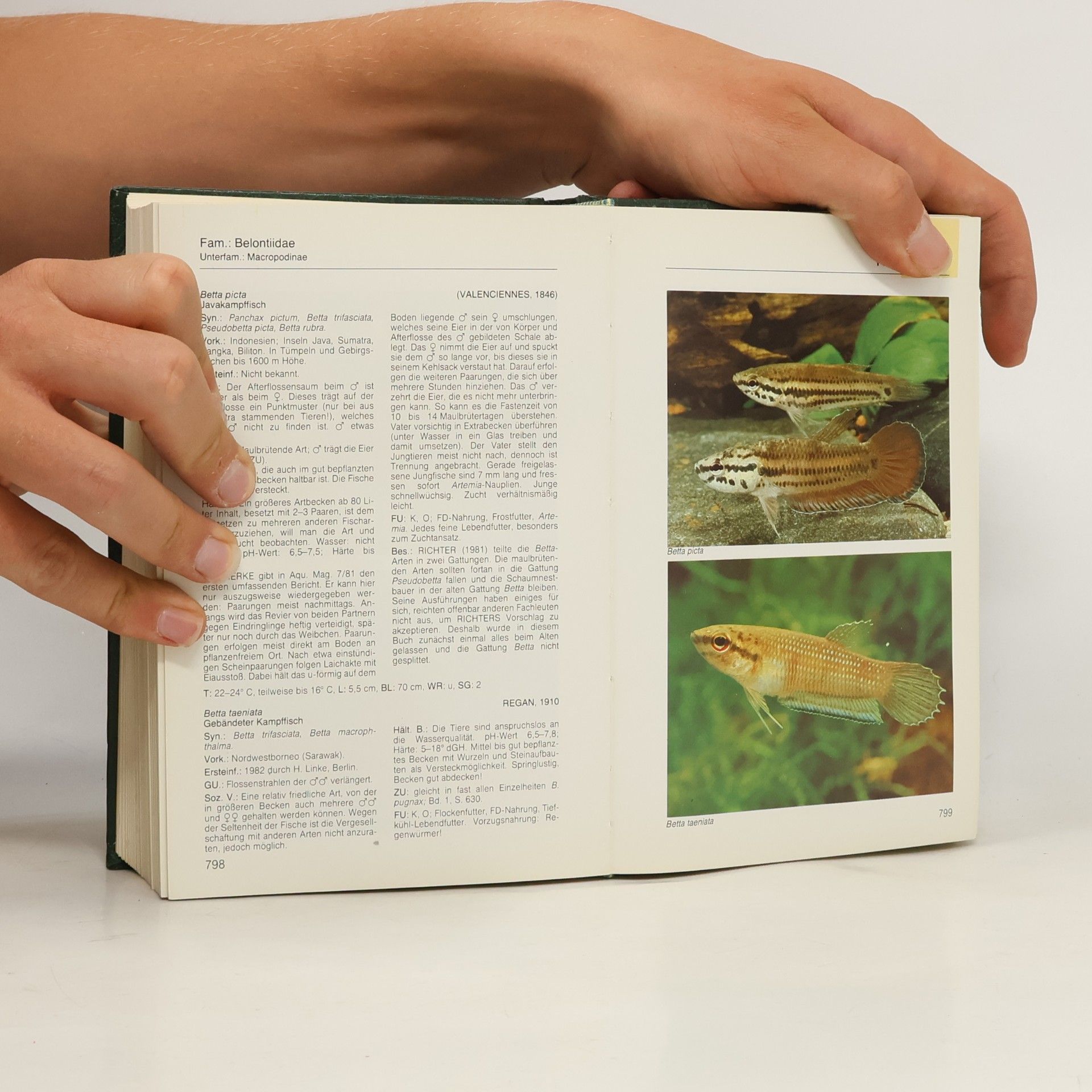 Rüdiger Riehl Aquarien Atlas. Band 2