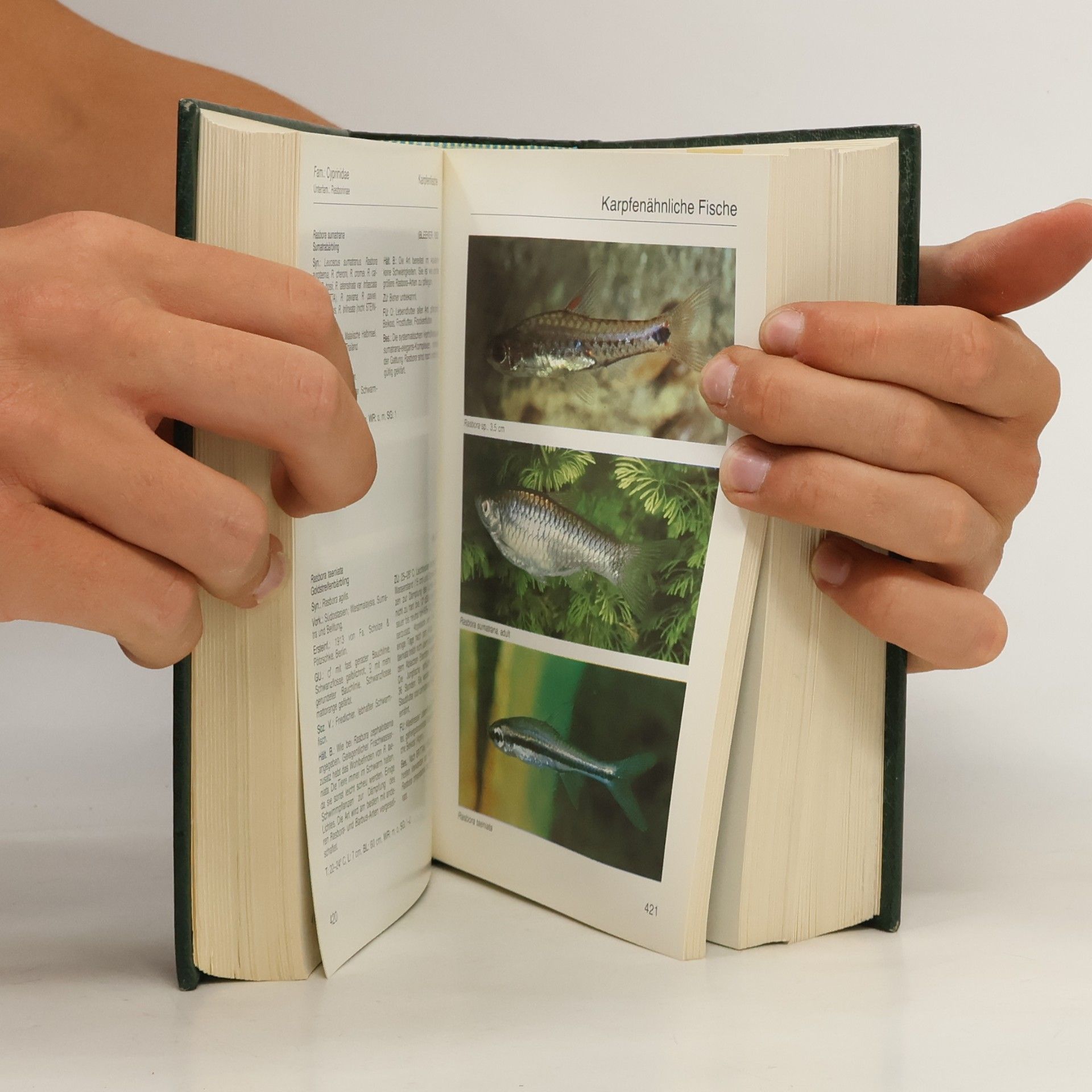 Rüdiger Riehl Aquarien Atlas. Band 2