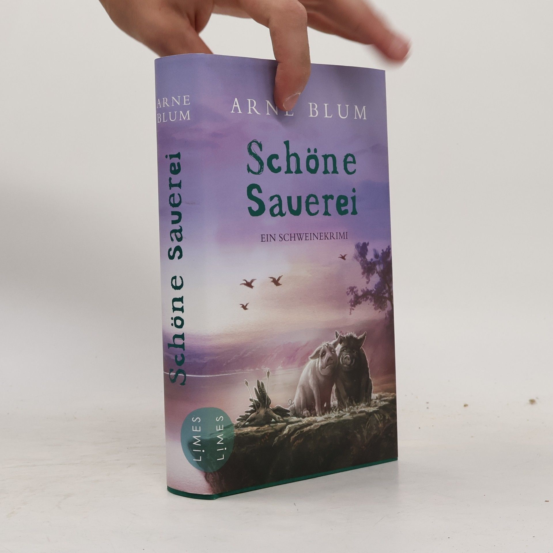 Arne Blum Schöne Sauerei