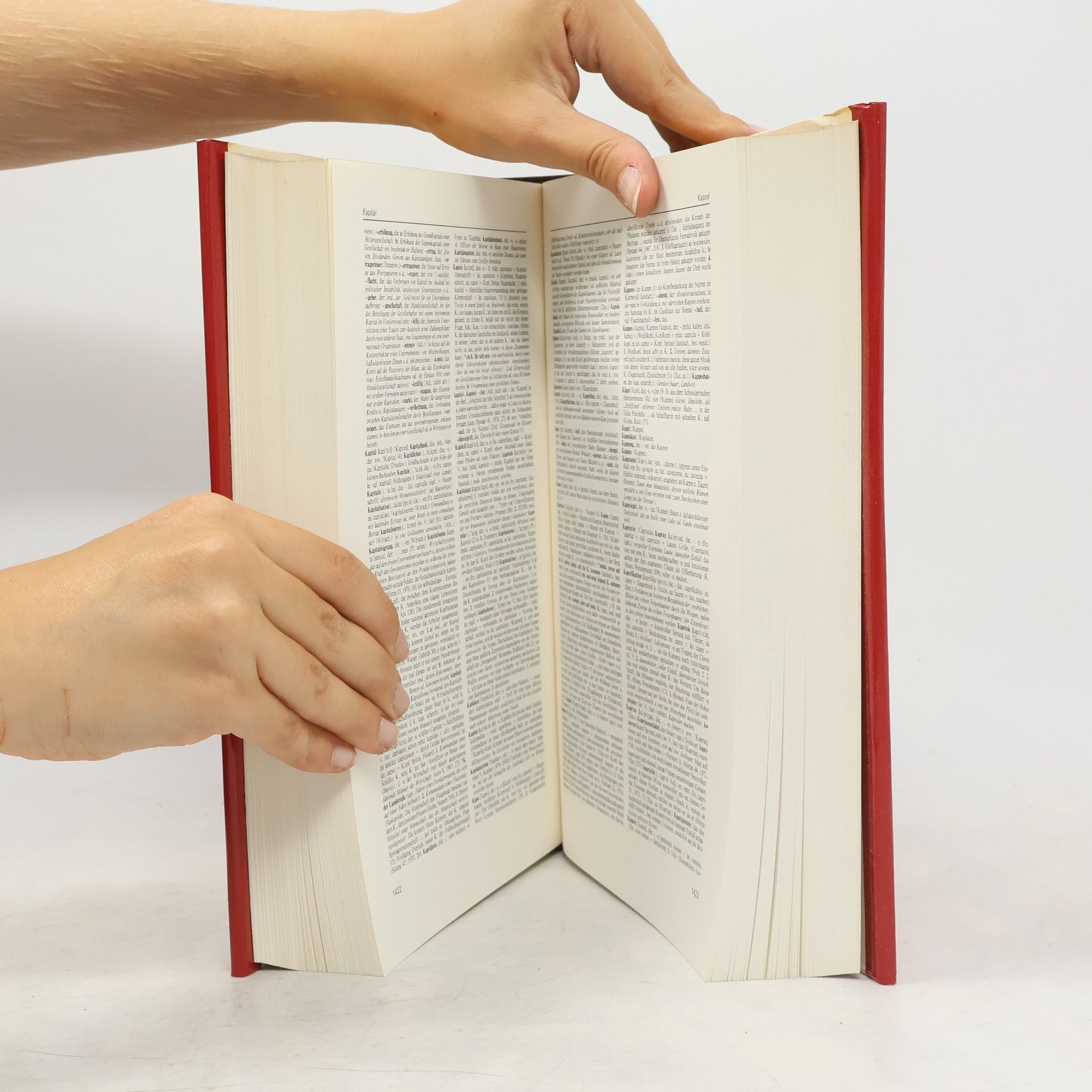Kolektiv autorů Meyers Enzyklopädisches Lexikon. Deutsches Wörterbuch G-N