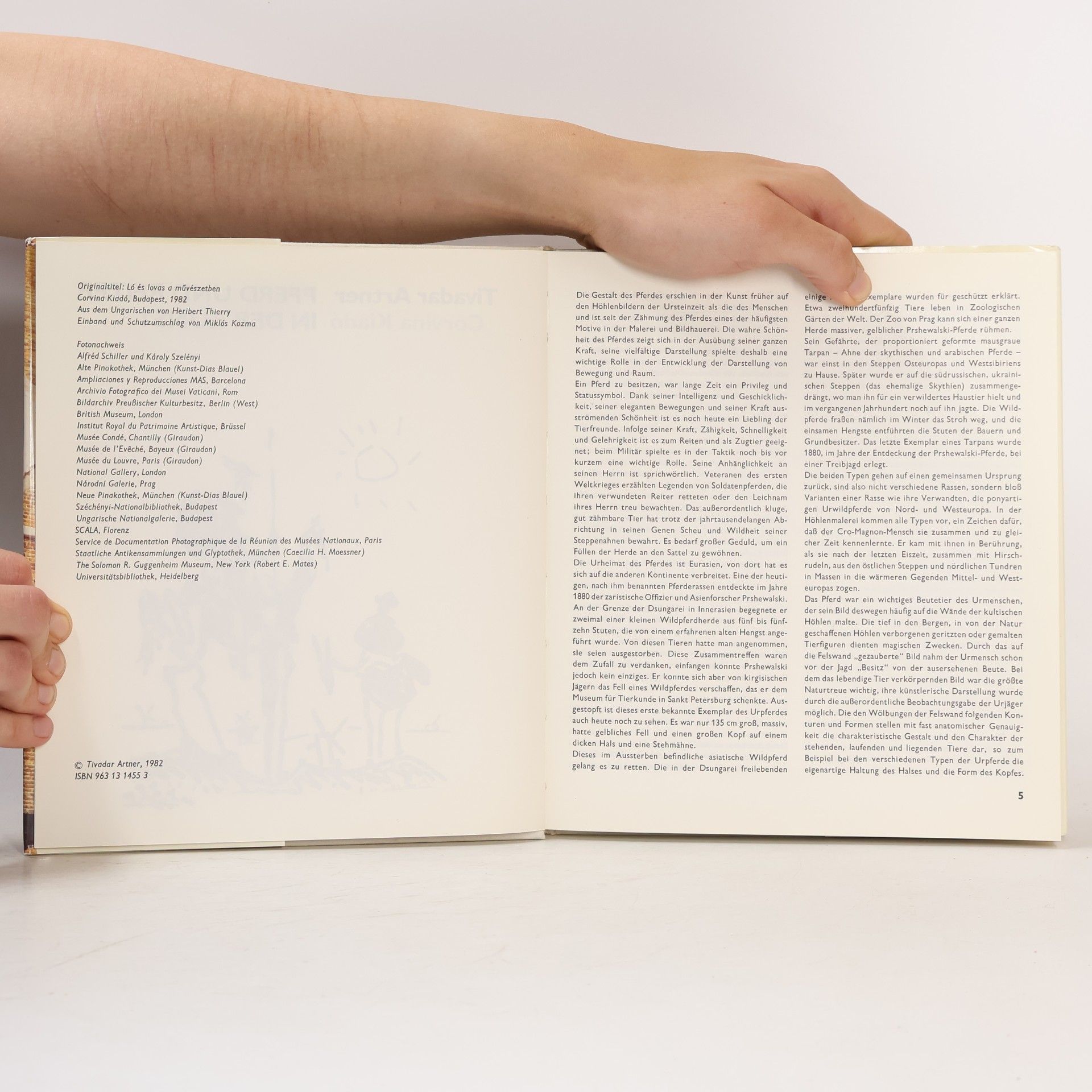 Tivadar Artner Pferd und Reiter in der Kunst