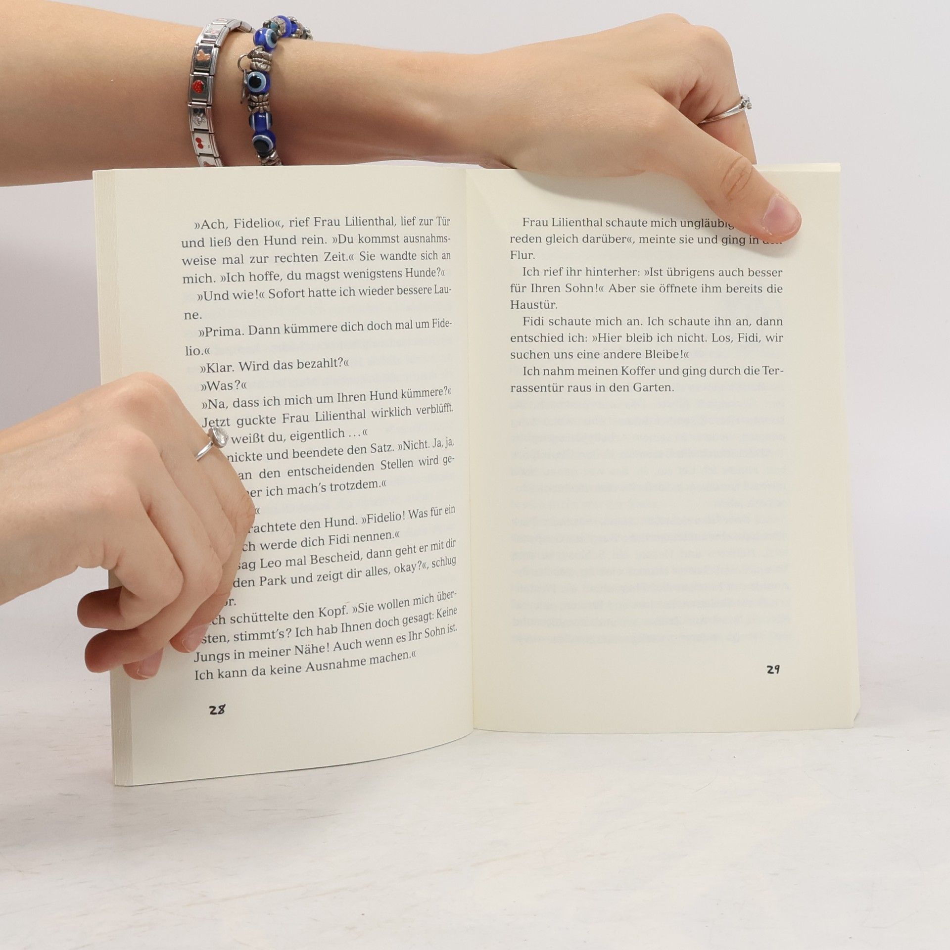 Hortense Ullrich Flippis geheimes Tagebuch