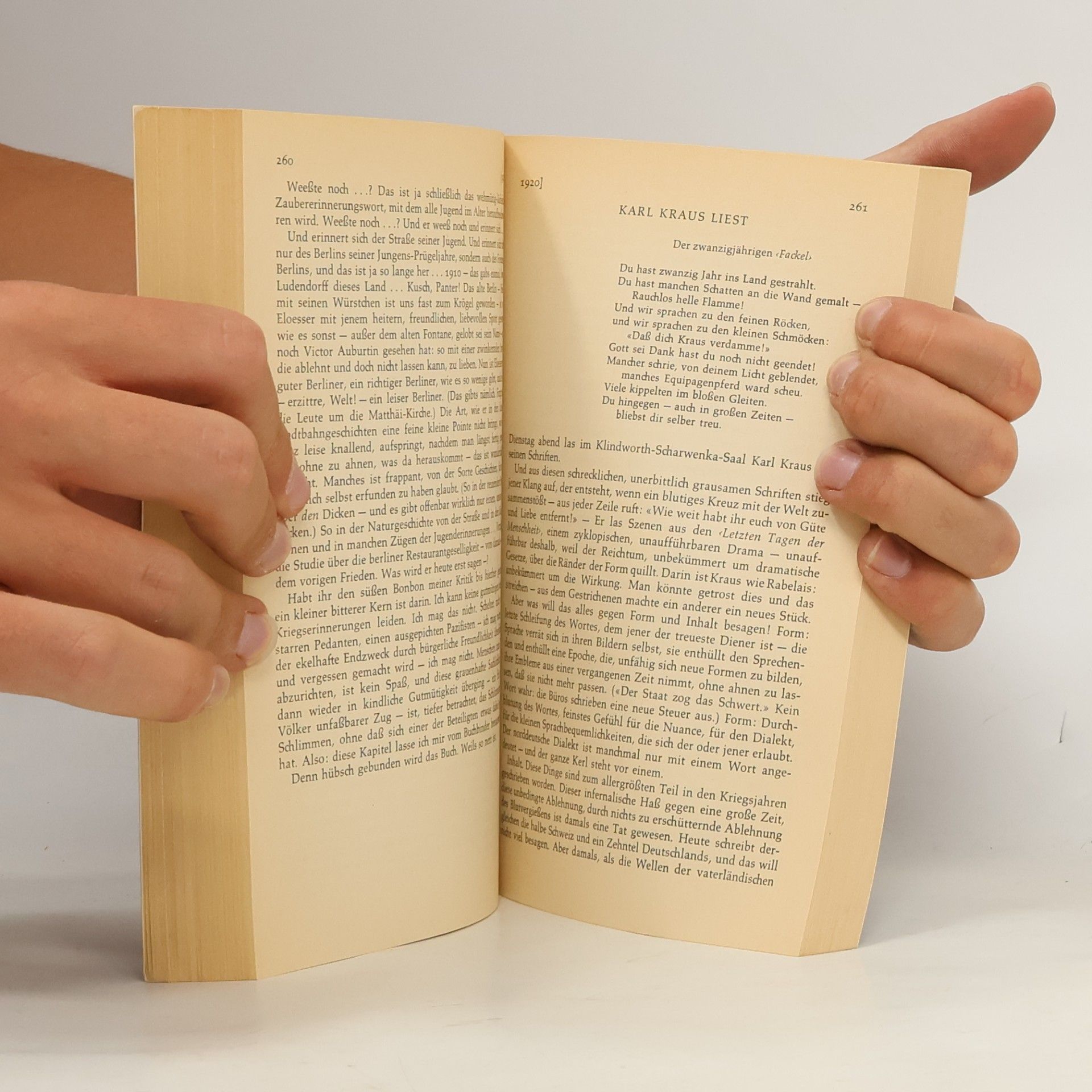 Kurt Tucholsky Gesammelte Werke 1919–1920 2