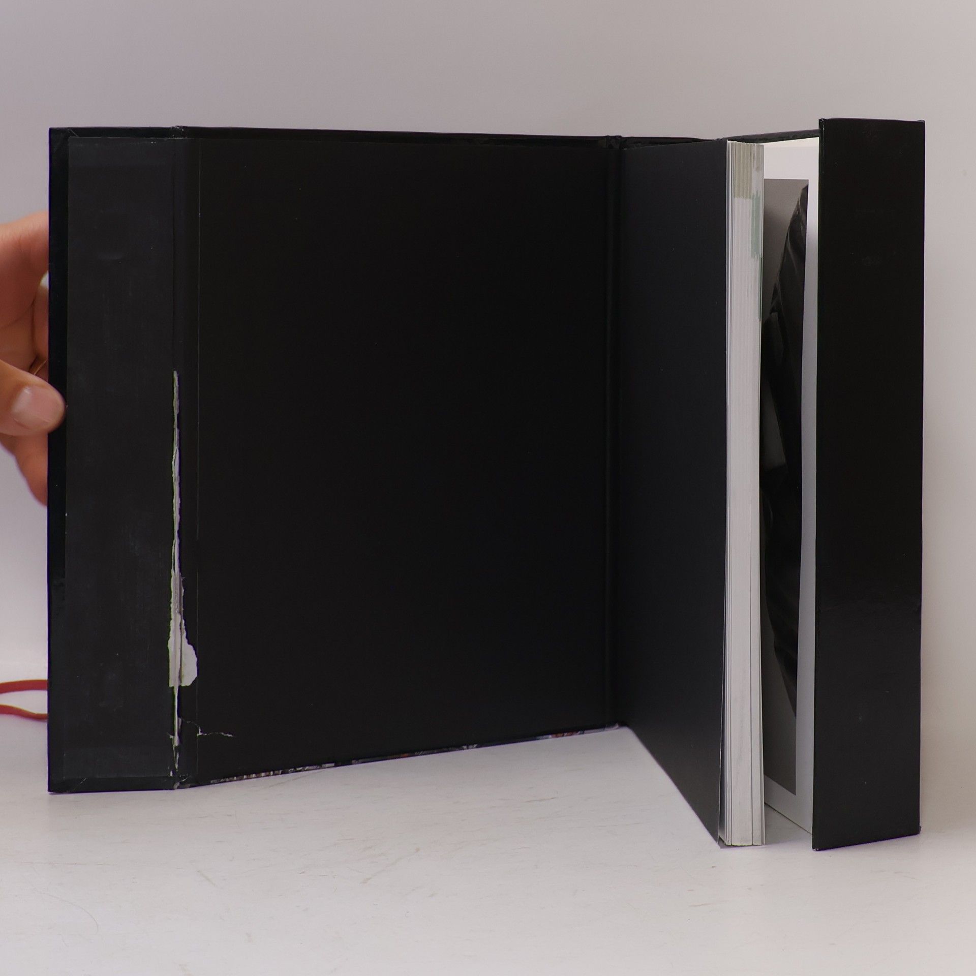 Roberto Koch Photo:Box