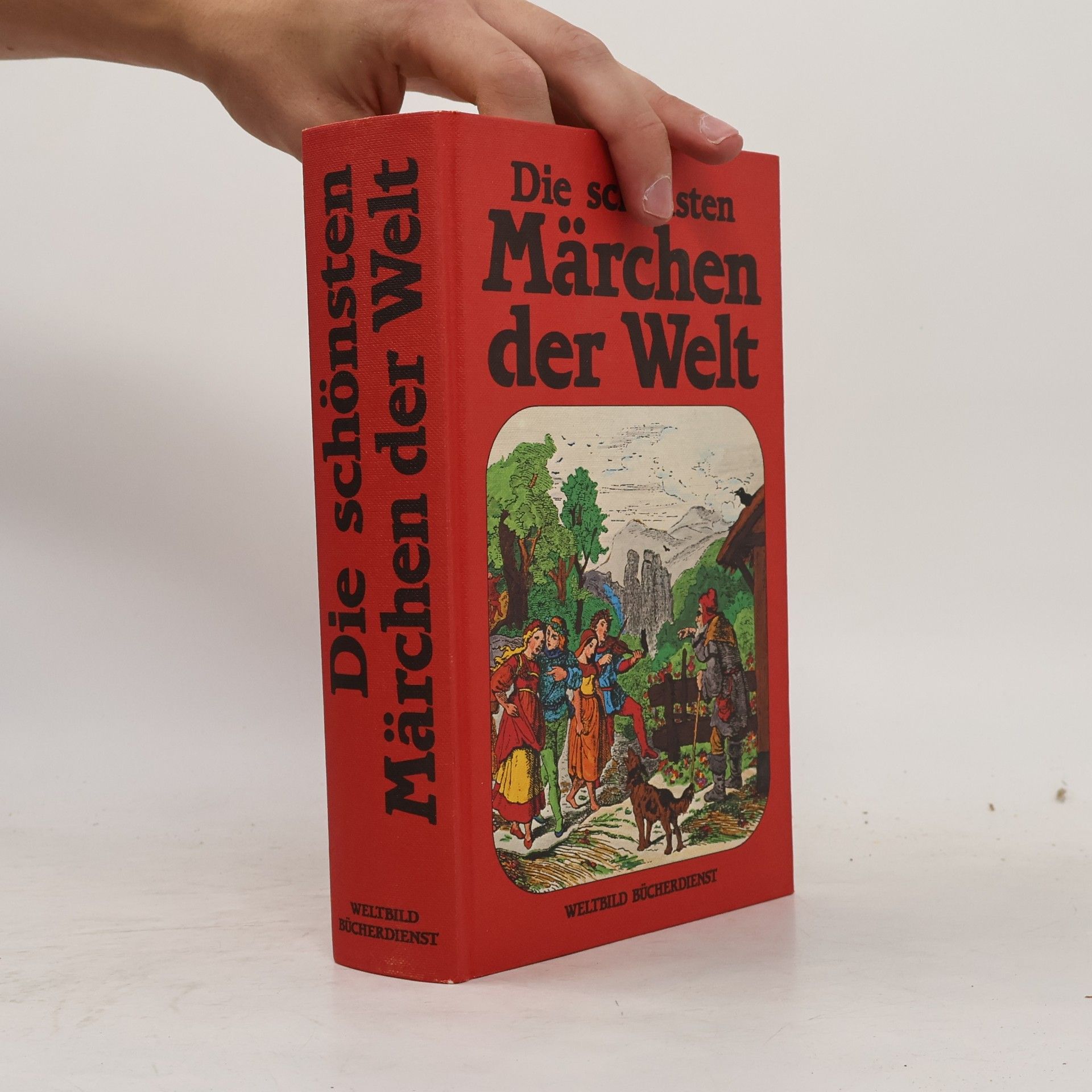 Kolektiv autorů Die schönsten Märchen der Welt