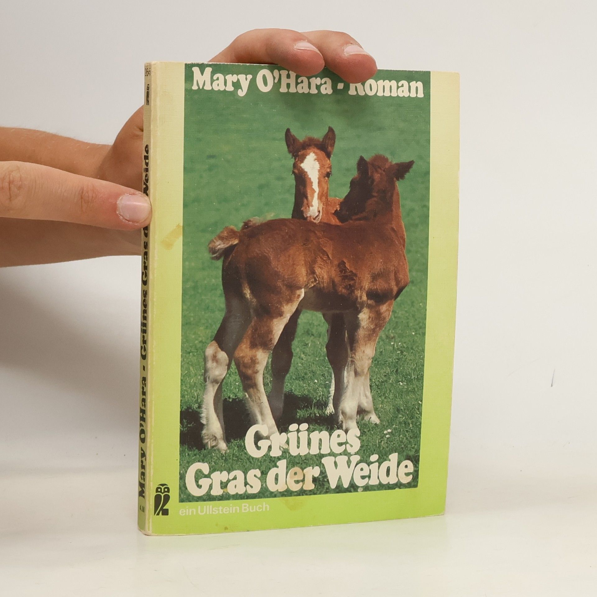 Mary O’Hara Grünes Gras der Weide