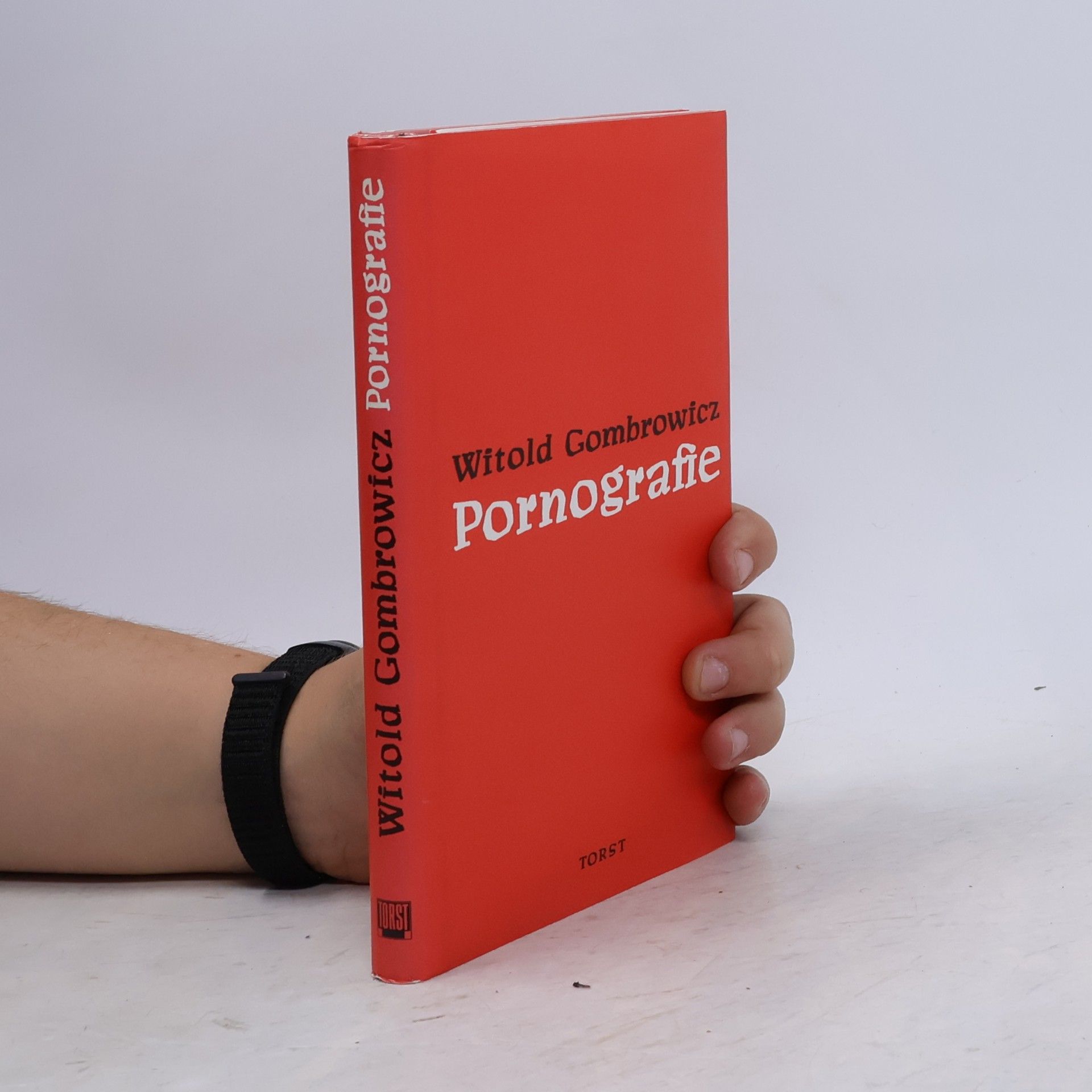 Pornografie