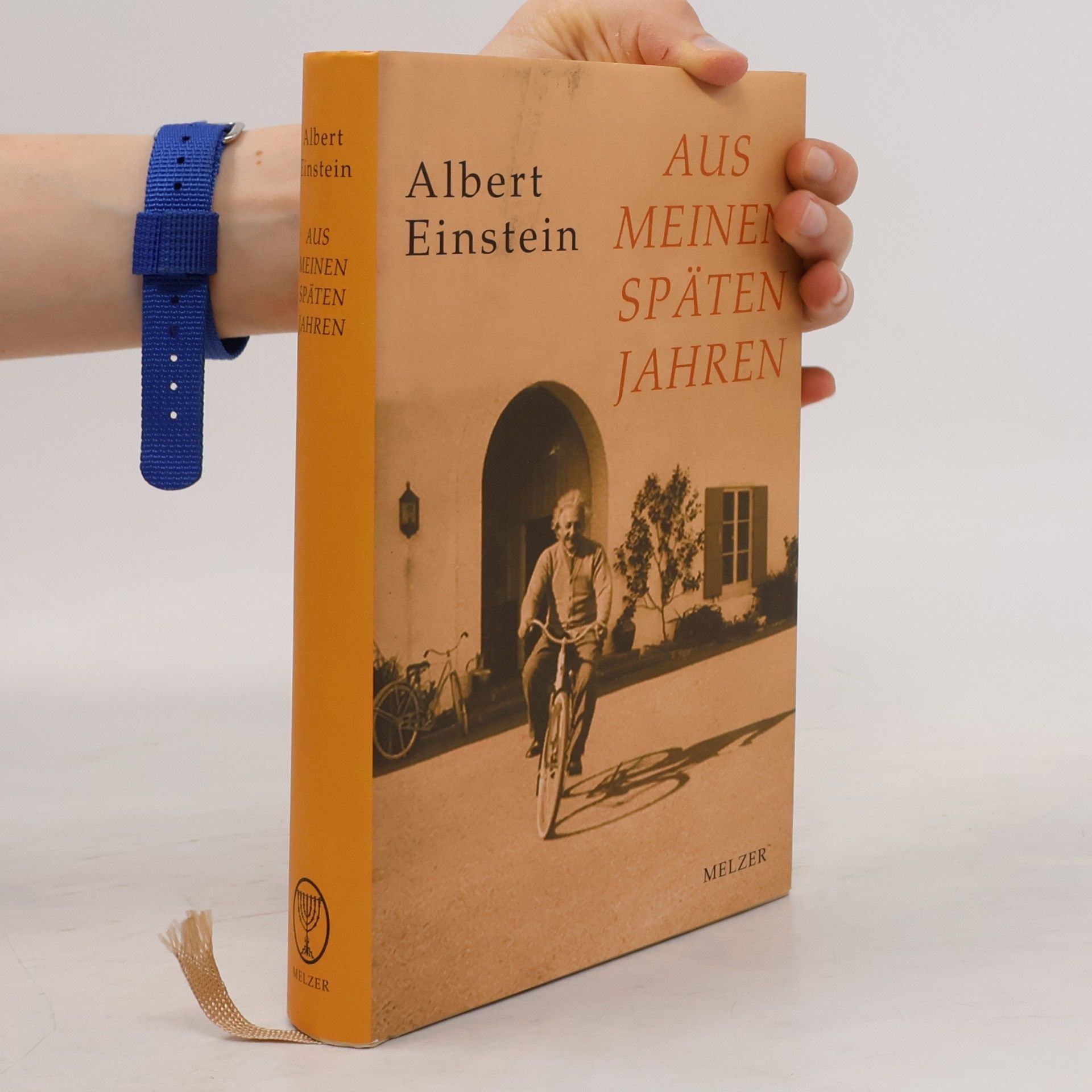 Albert Einstein Aus meinen späten Jahren