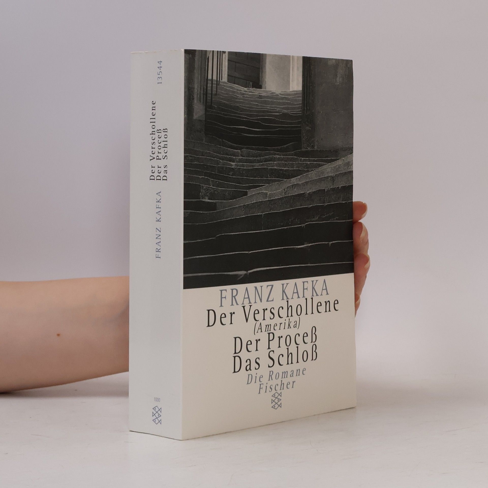 Franz Kafka Die Romane : Der Verschollene ; Der Process ; Das Schloss ; in der Fassung der Handschrift