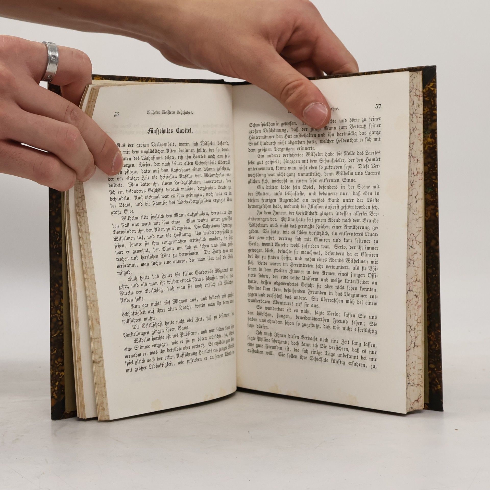 Johann Wolfgang von Goethe Goethes Werke 9