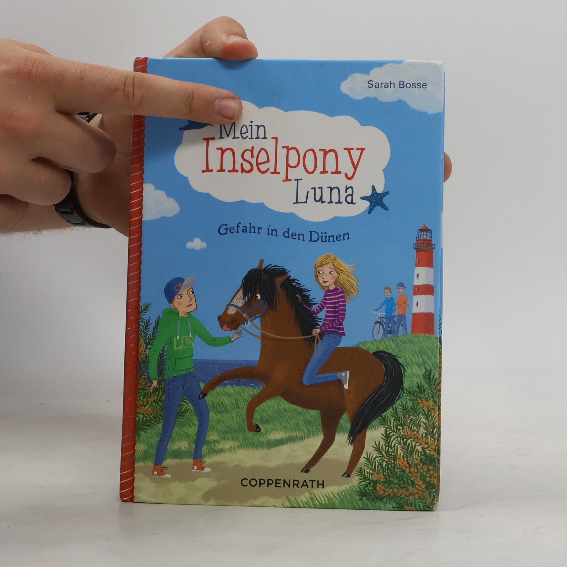 Sarah Bosse Mein Inselpony Luna - Gefahr in den Dünen