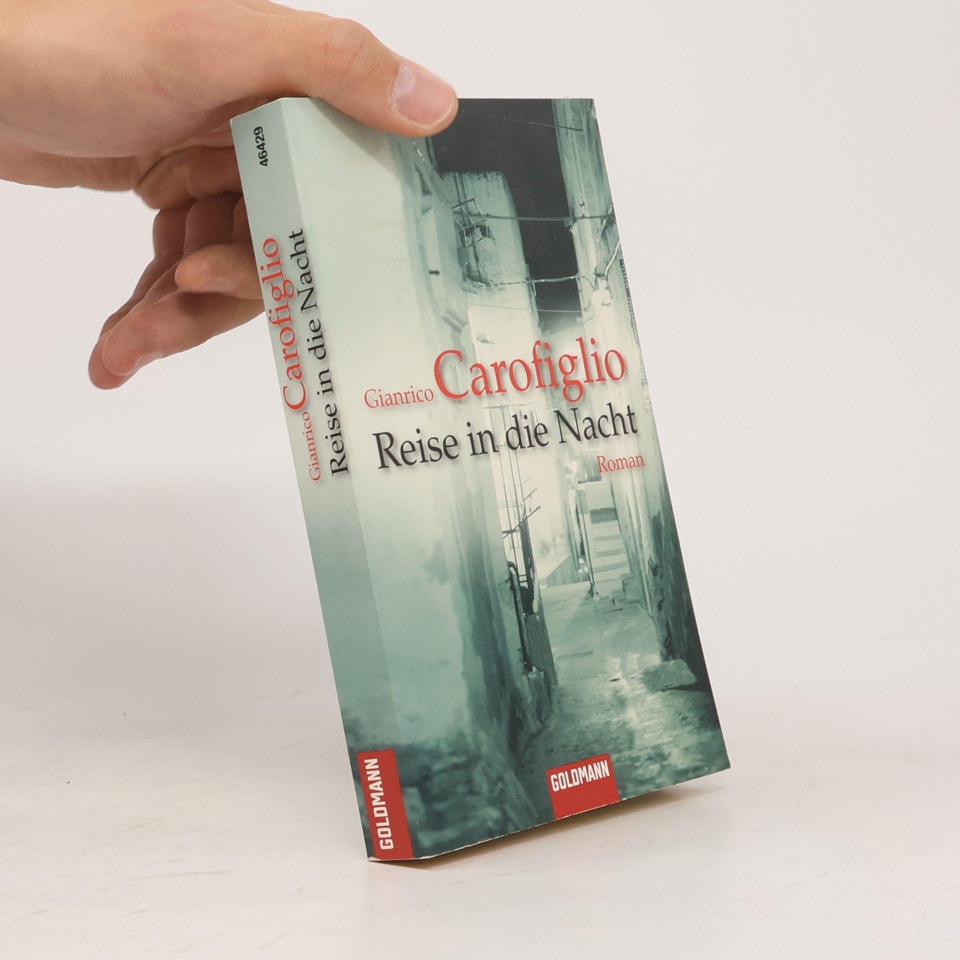 Gianrico Carofiglio Reise in die Nacht