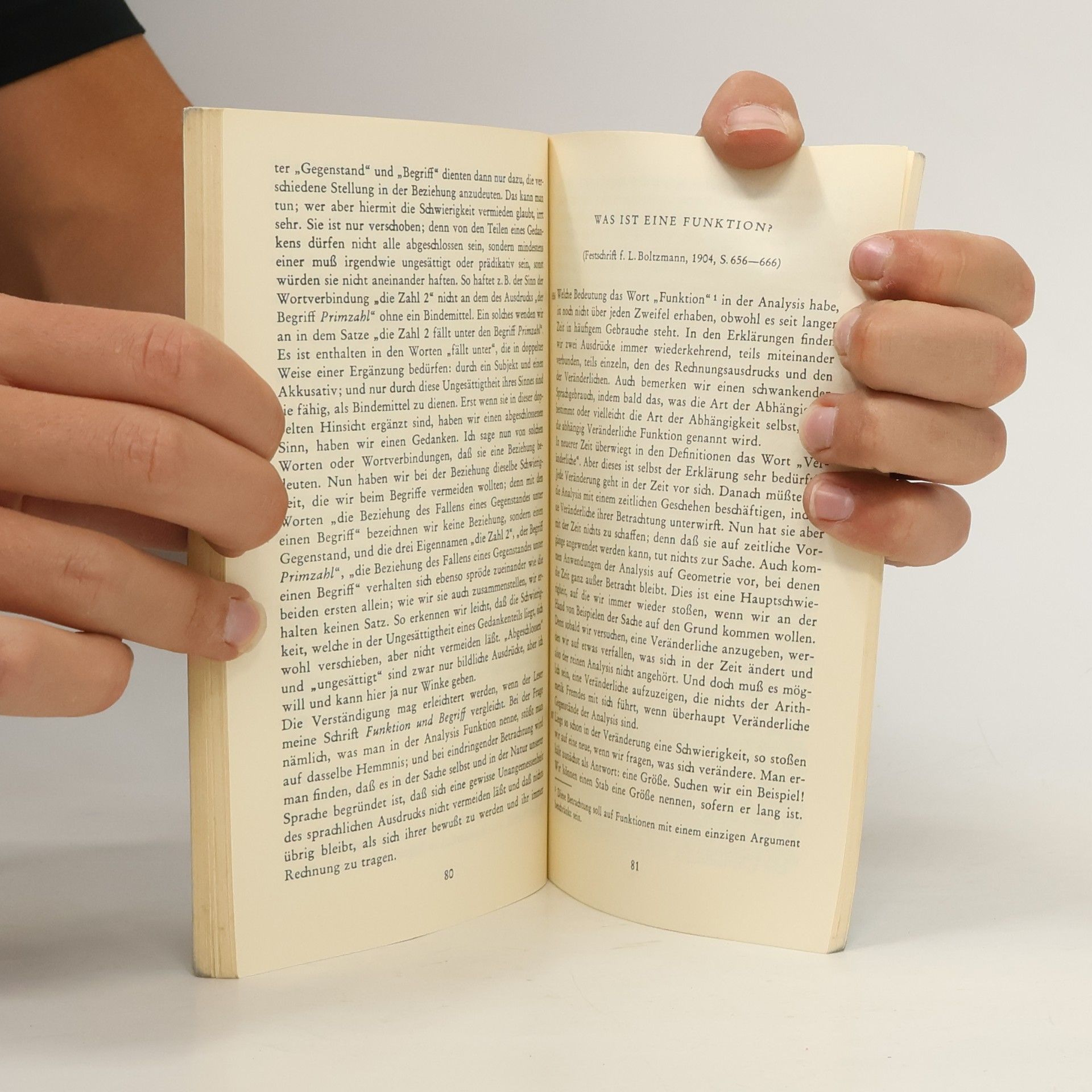 Gottlob Frege Funktion, Begriff, Bedeutung