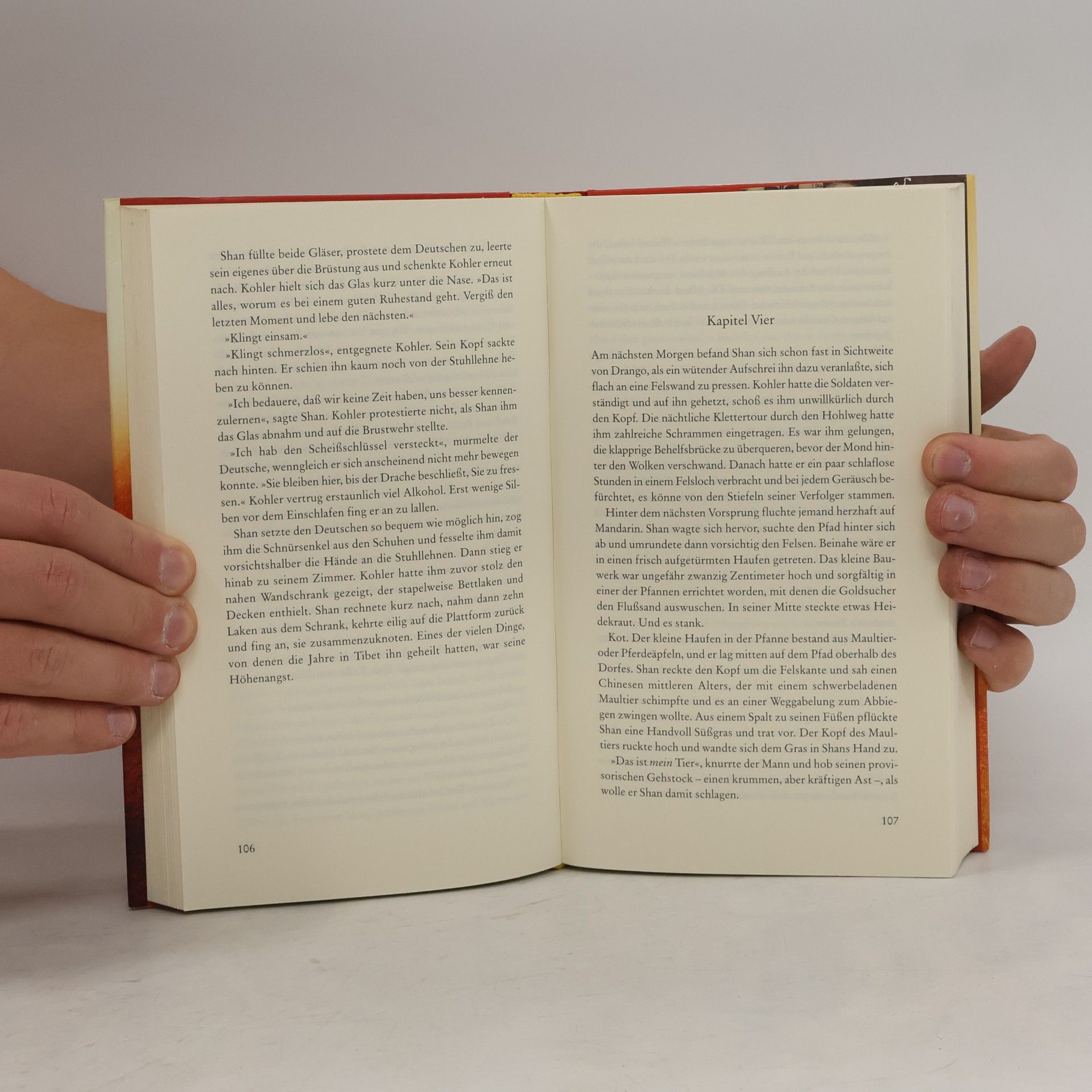 Eliot Pattison Der Berg der toten Tibeter