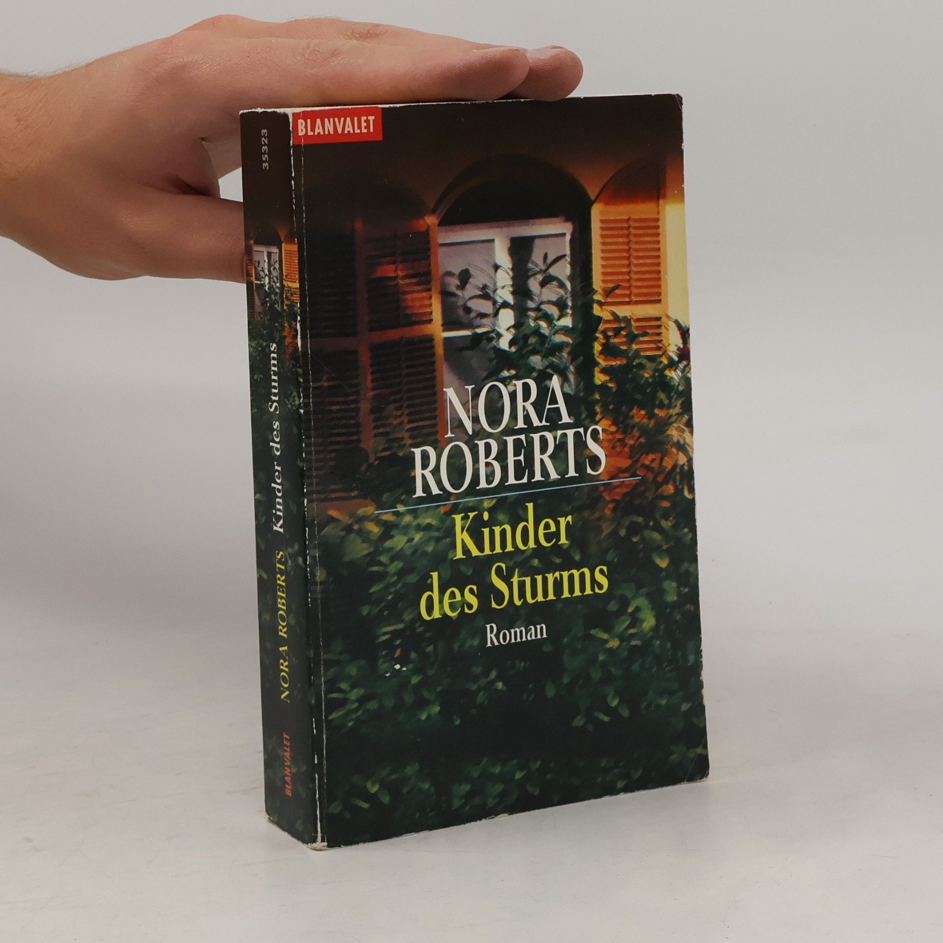 Nora Roberts Kinder des Sturms