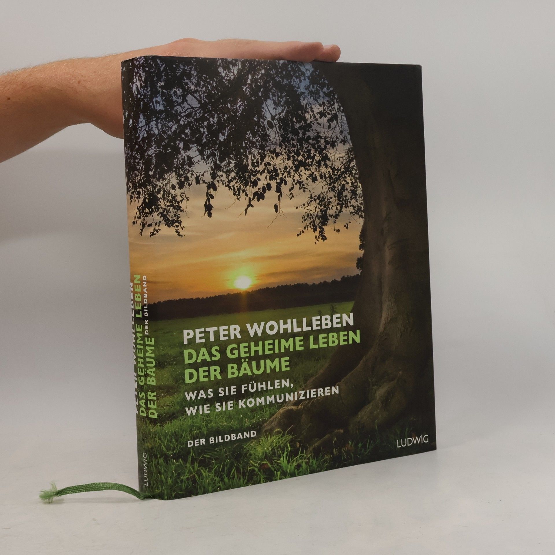Peter Wohlleben Das geheime Leben der Bäume