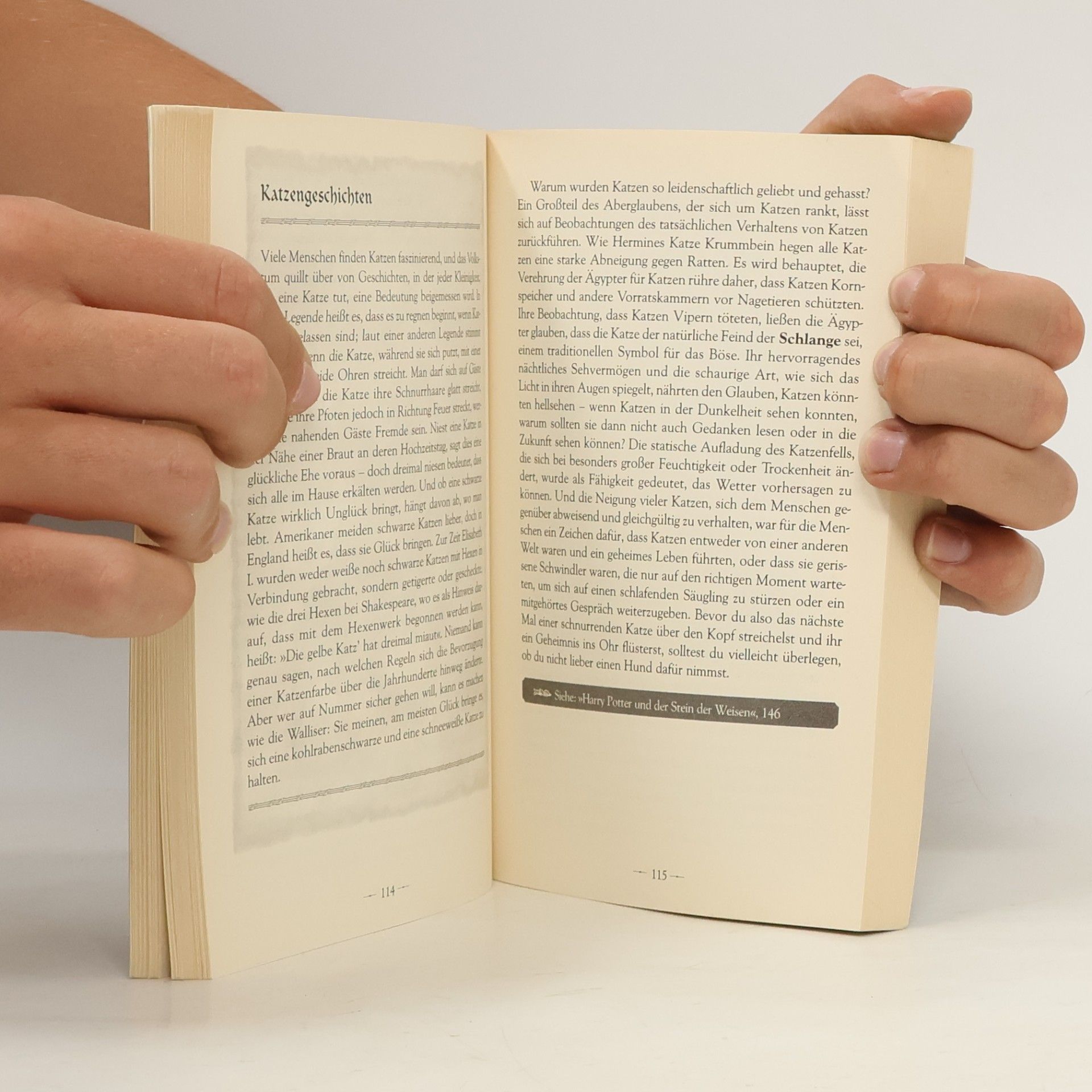 Allan Zola Kronzek Das Zauberer-Handbuch