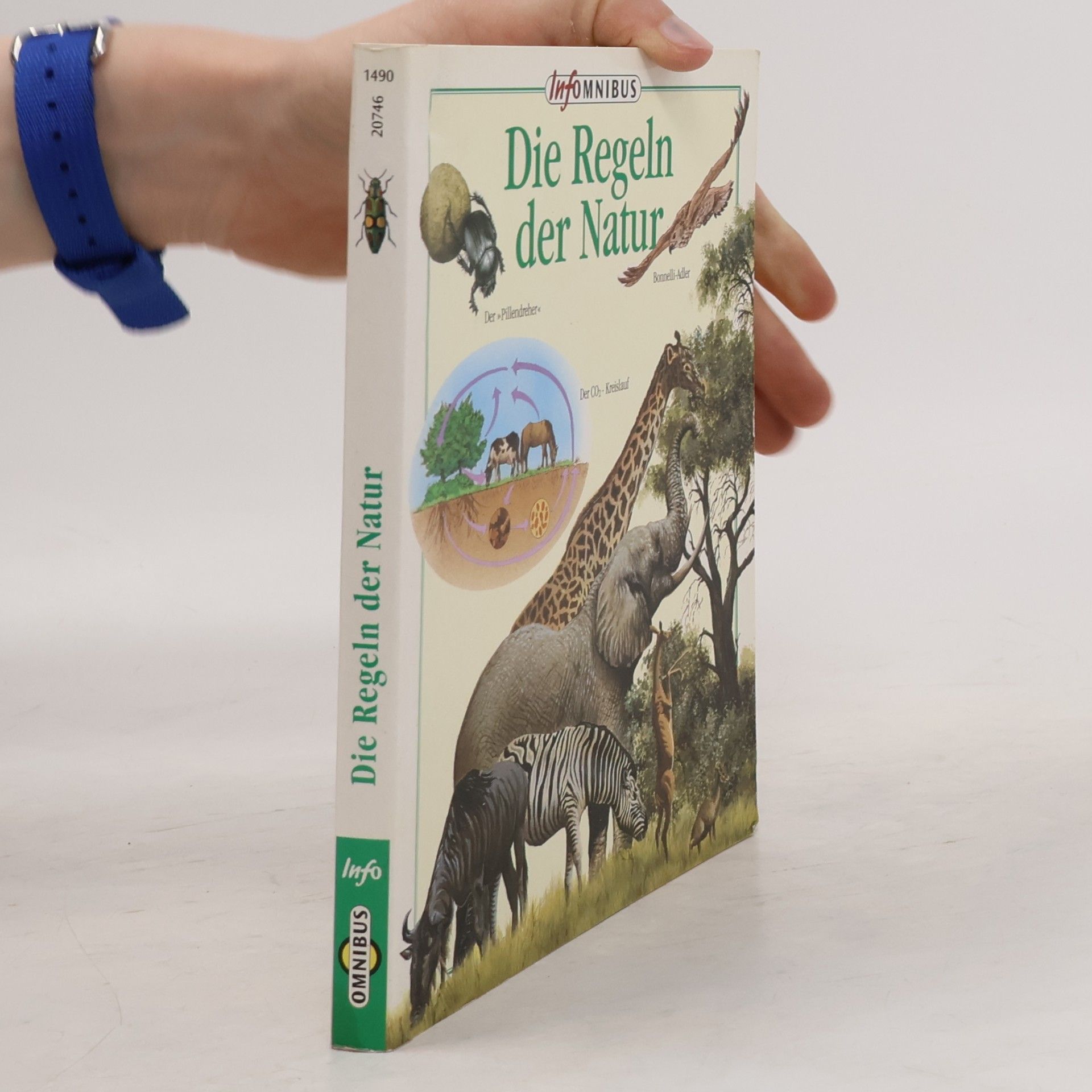 Carlo Rondinini Die Regeln der Natur
