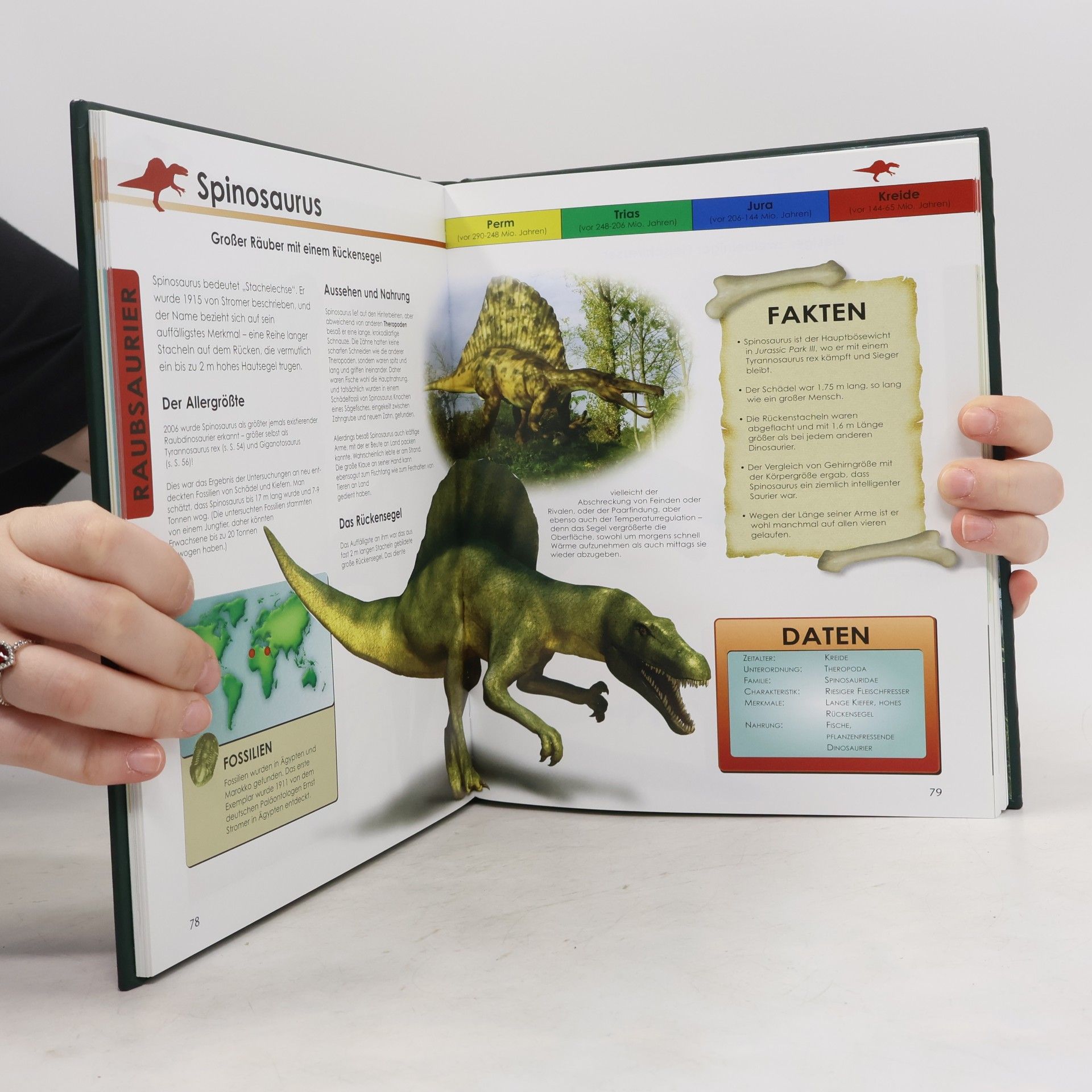 Kolektiv autorů Das Grosse Buch der Dinosaurier