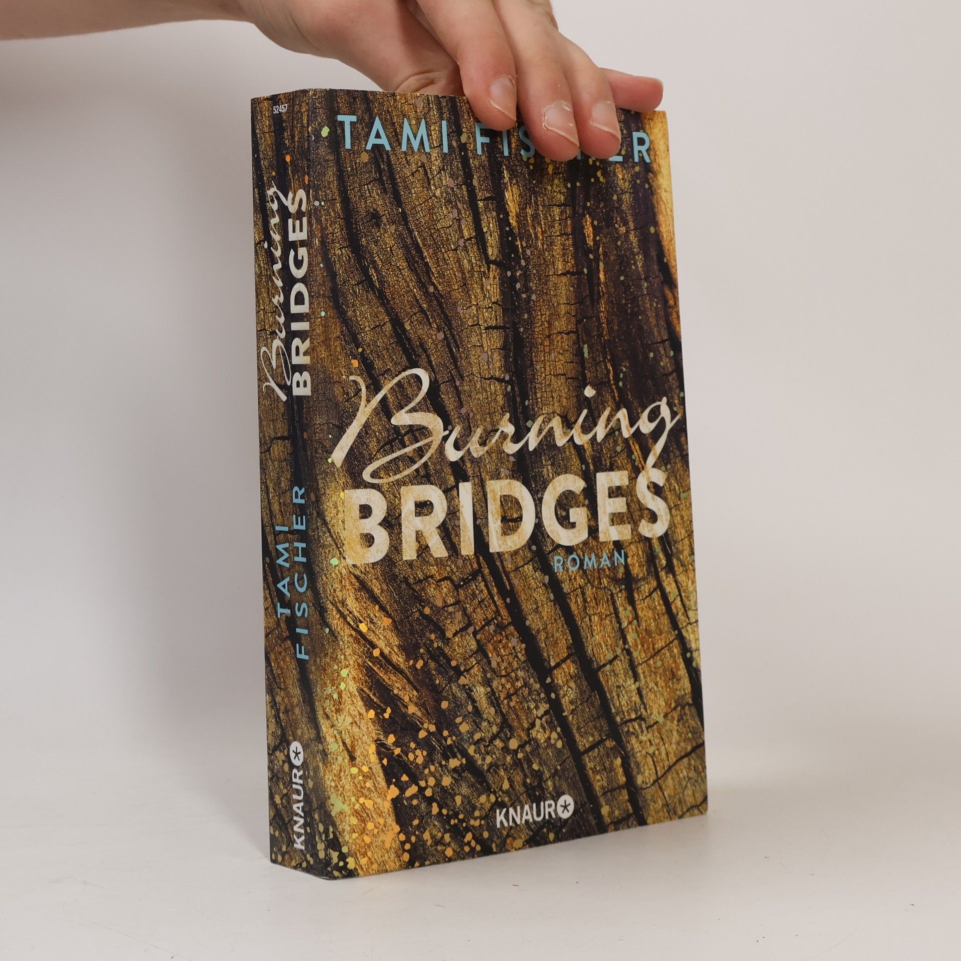 Tami Fischer Burning bridges