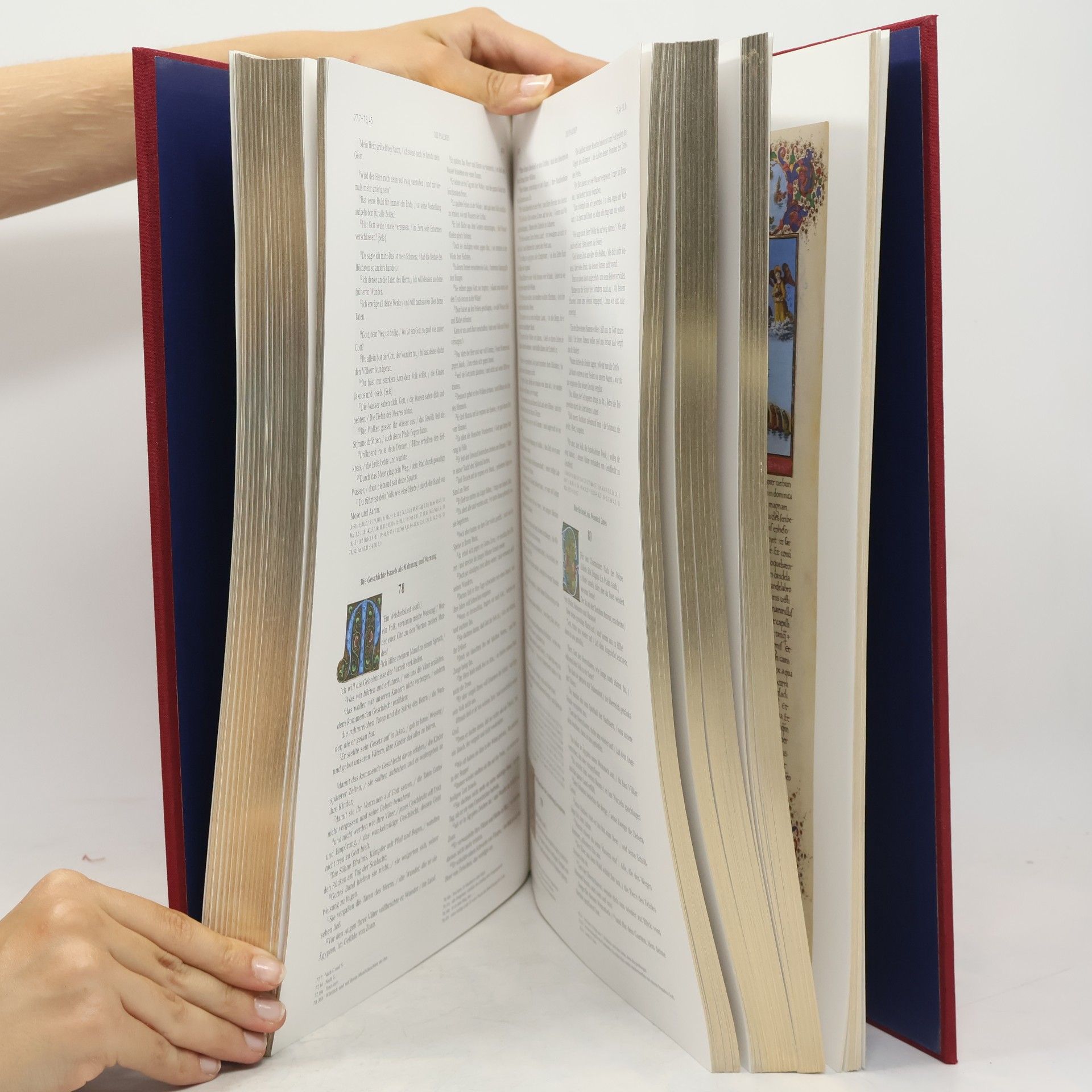 Autorenkollektiv Die Bibel