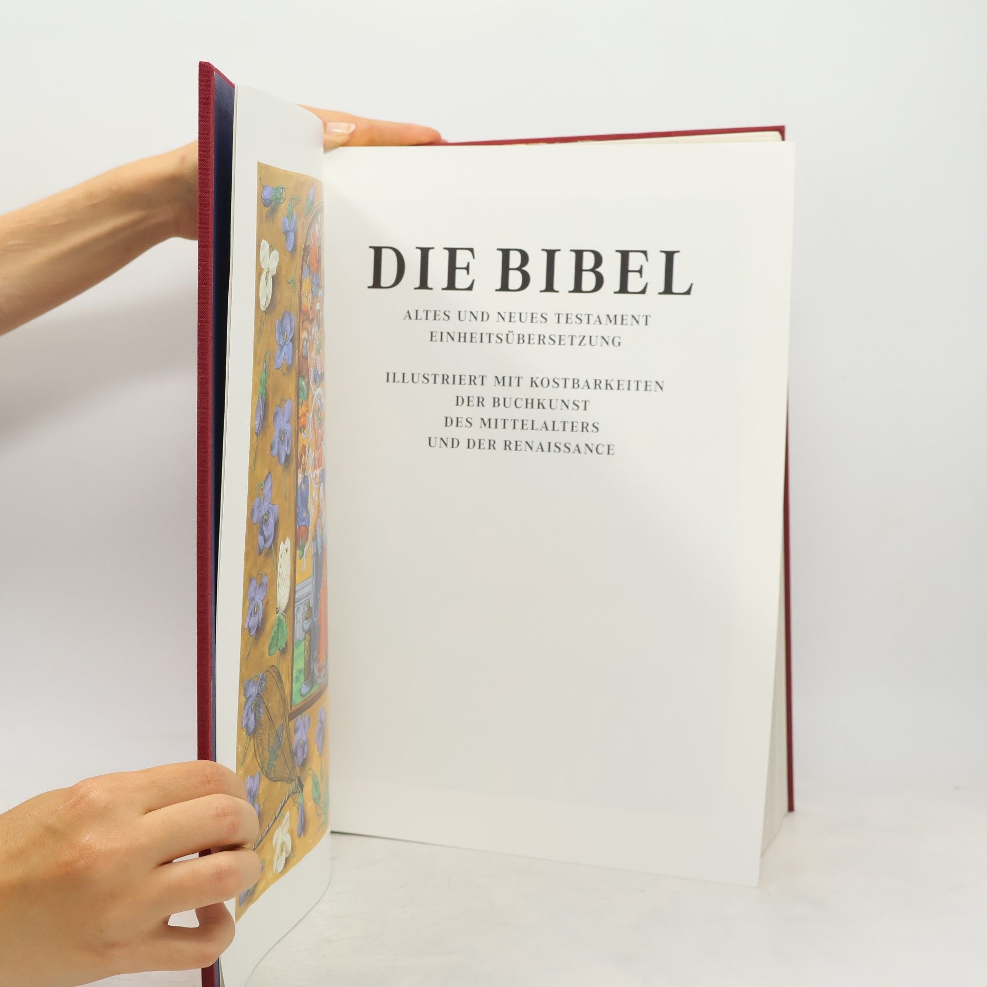 Autorenkollektiv Die Bibel