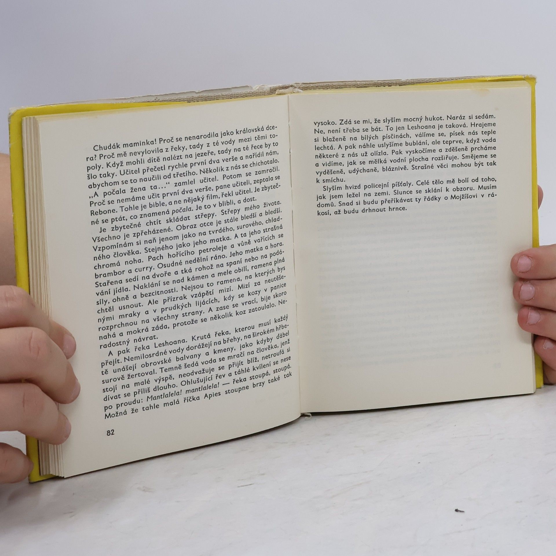 Ezekiel Mphahlele Na Druhé ulici