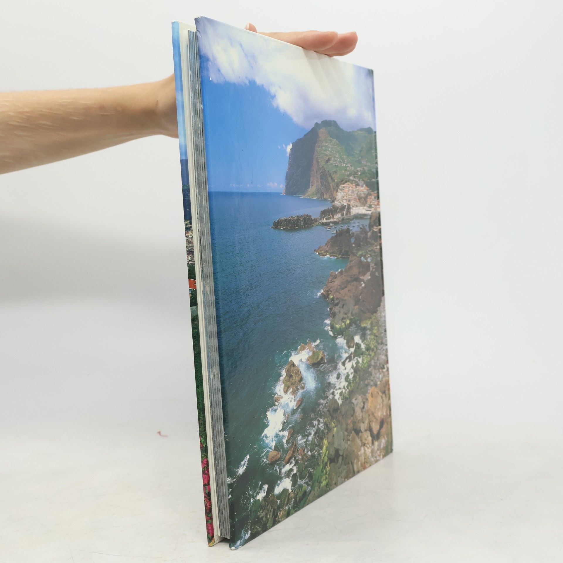 Francisco Ribeiro Madeira: Ilha de Sonho / Ile de Rêve / Island of Dream / Trauminsel,