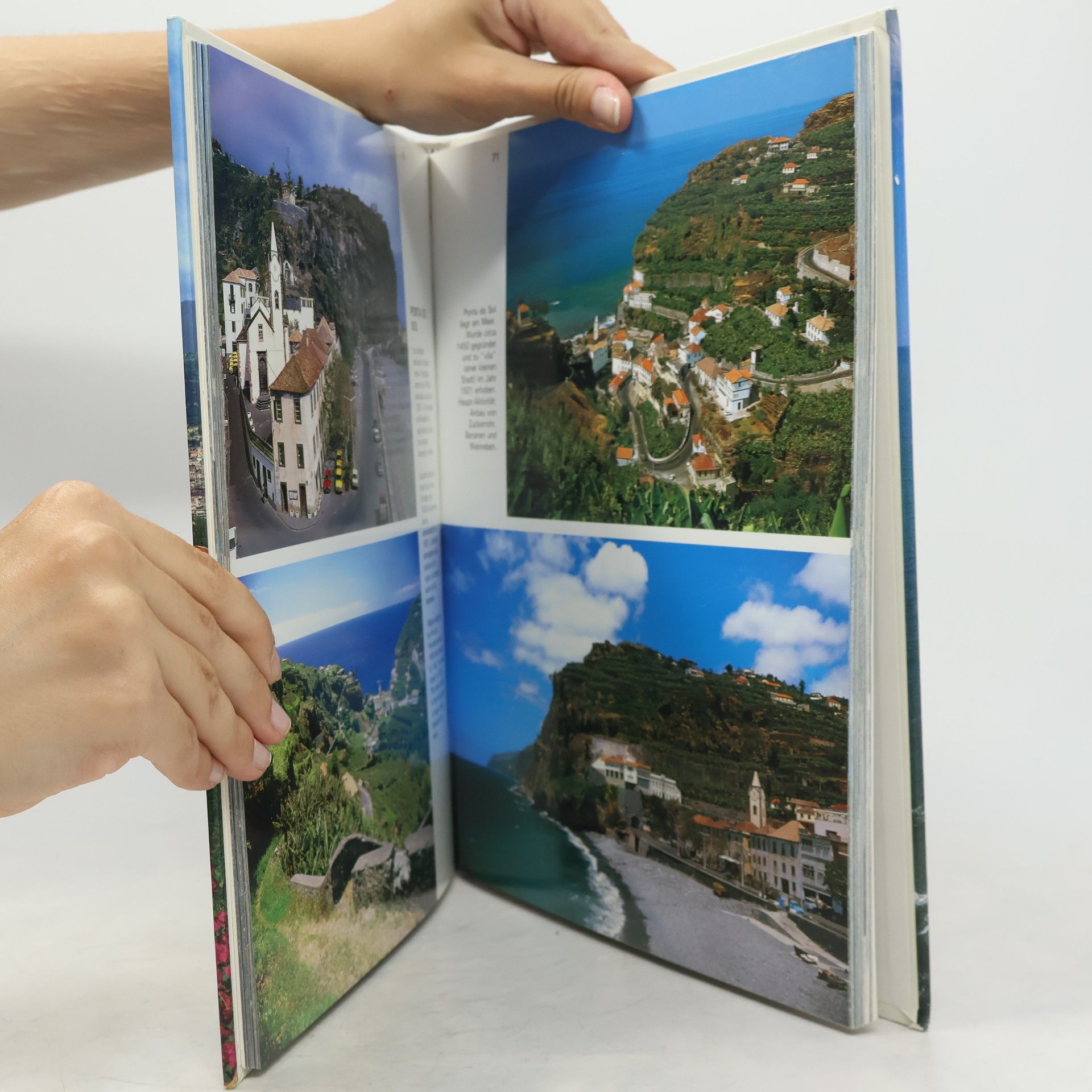 Francisco Ribeiro Madeira: Ilha de Sonho / Ile de Rêve / Island of Dream / Trauminsel,