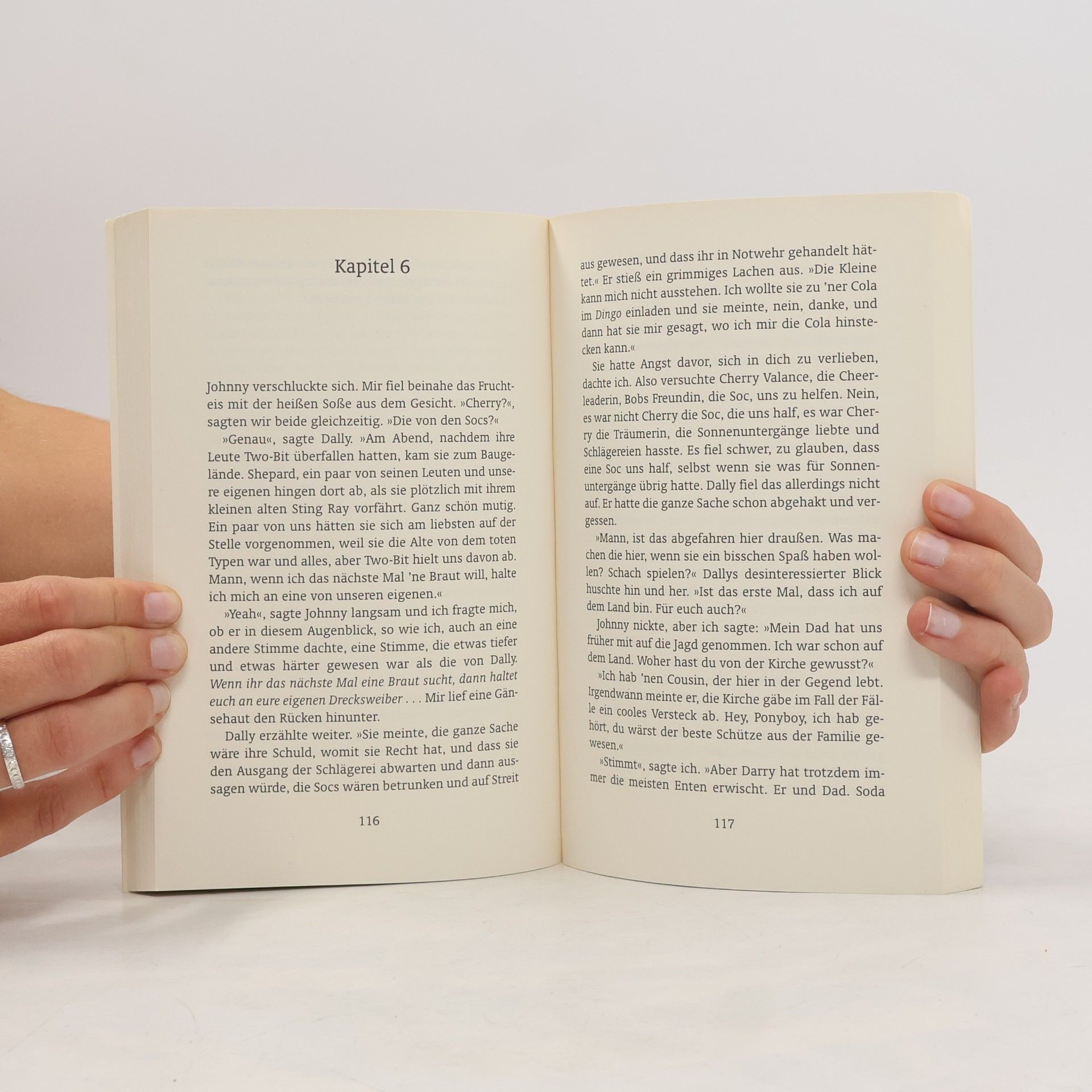 S. E. Hinton Die Outsider