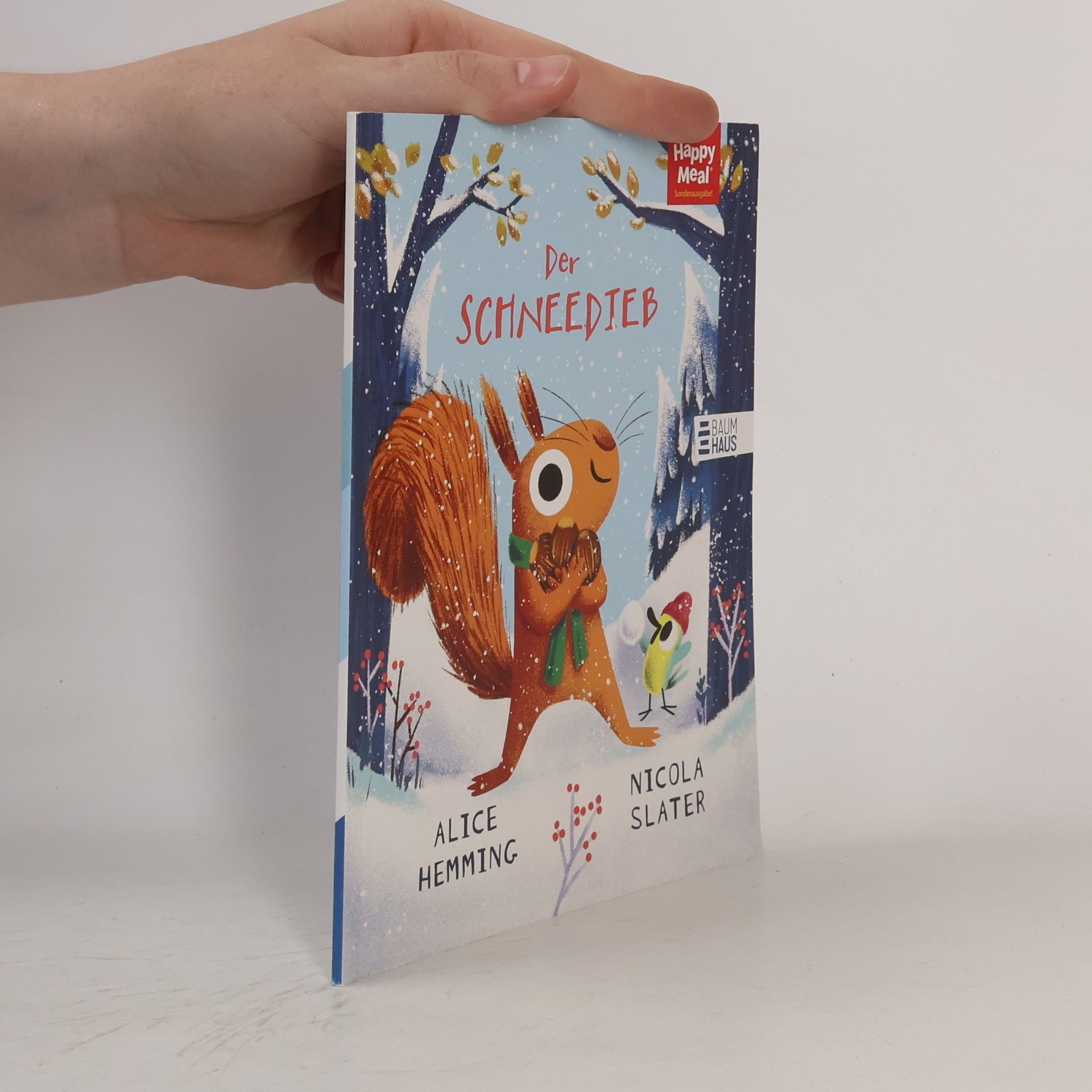 Alice Hemming Der Schneedieb