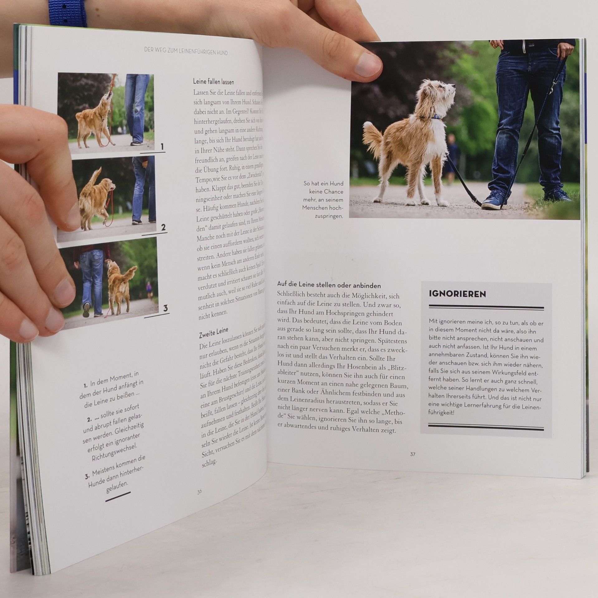 Jeanette Przygoda An lockerer Leine. Der leichte Weg zum leinenführigen Hund