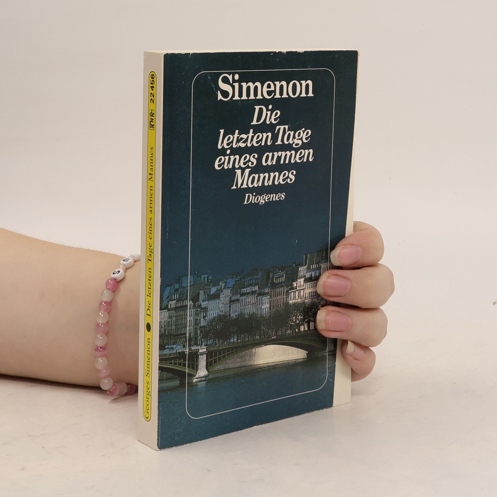 Georges Simenon Die letzten Tage eines armen Mannes. Roman