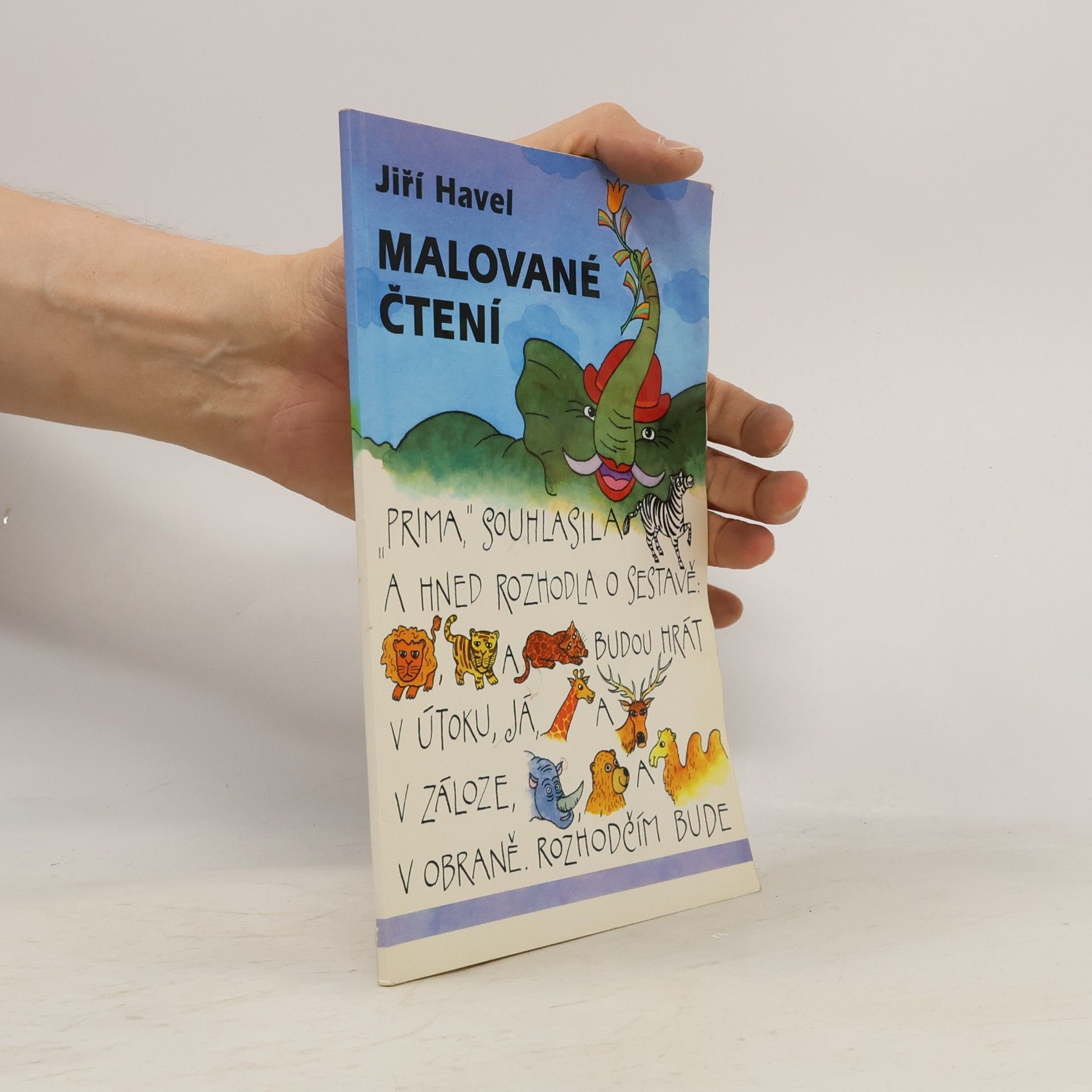 Jiří Havel Malované čtení