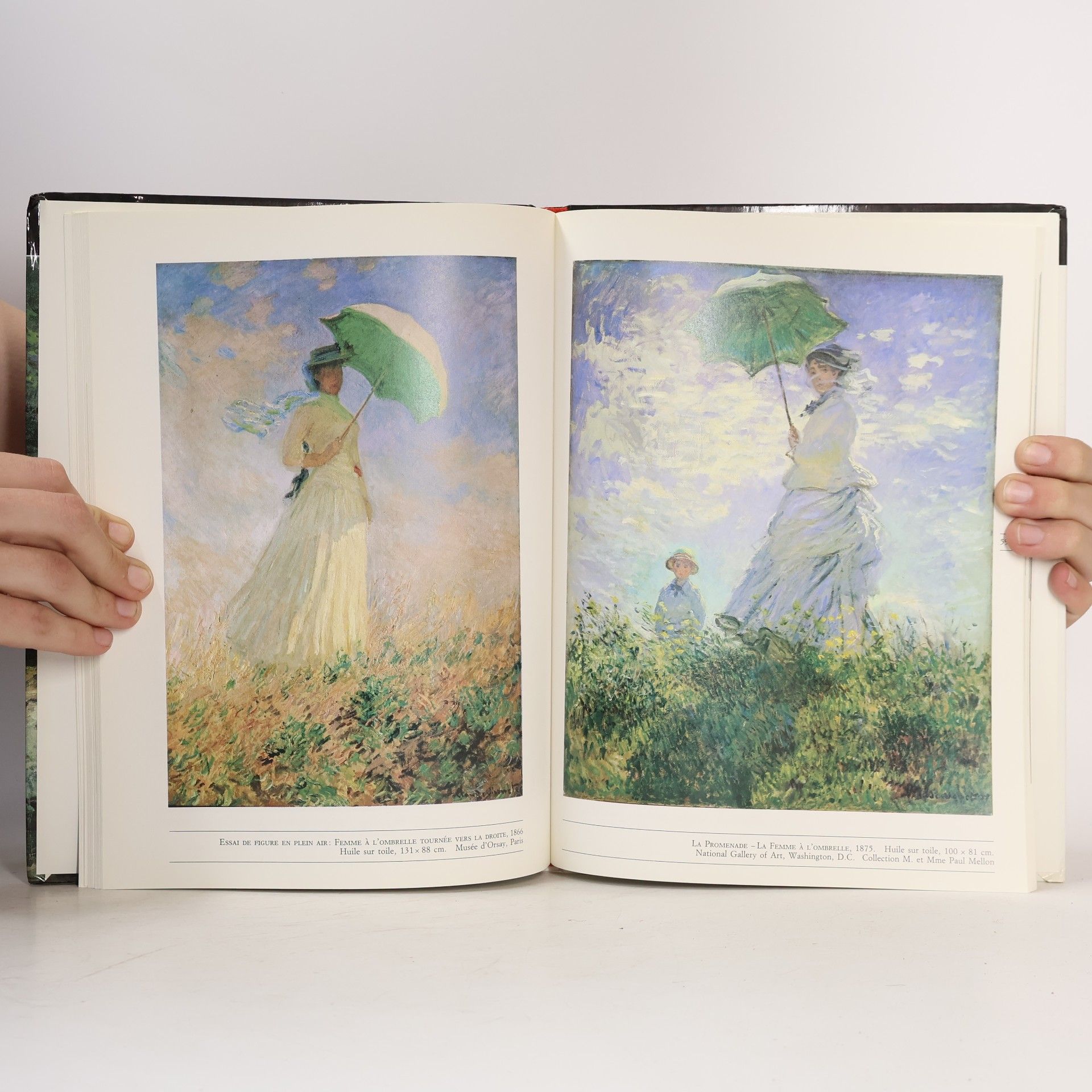 Yvon Taillandier Monet