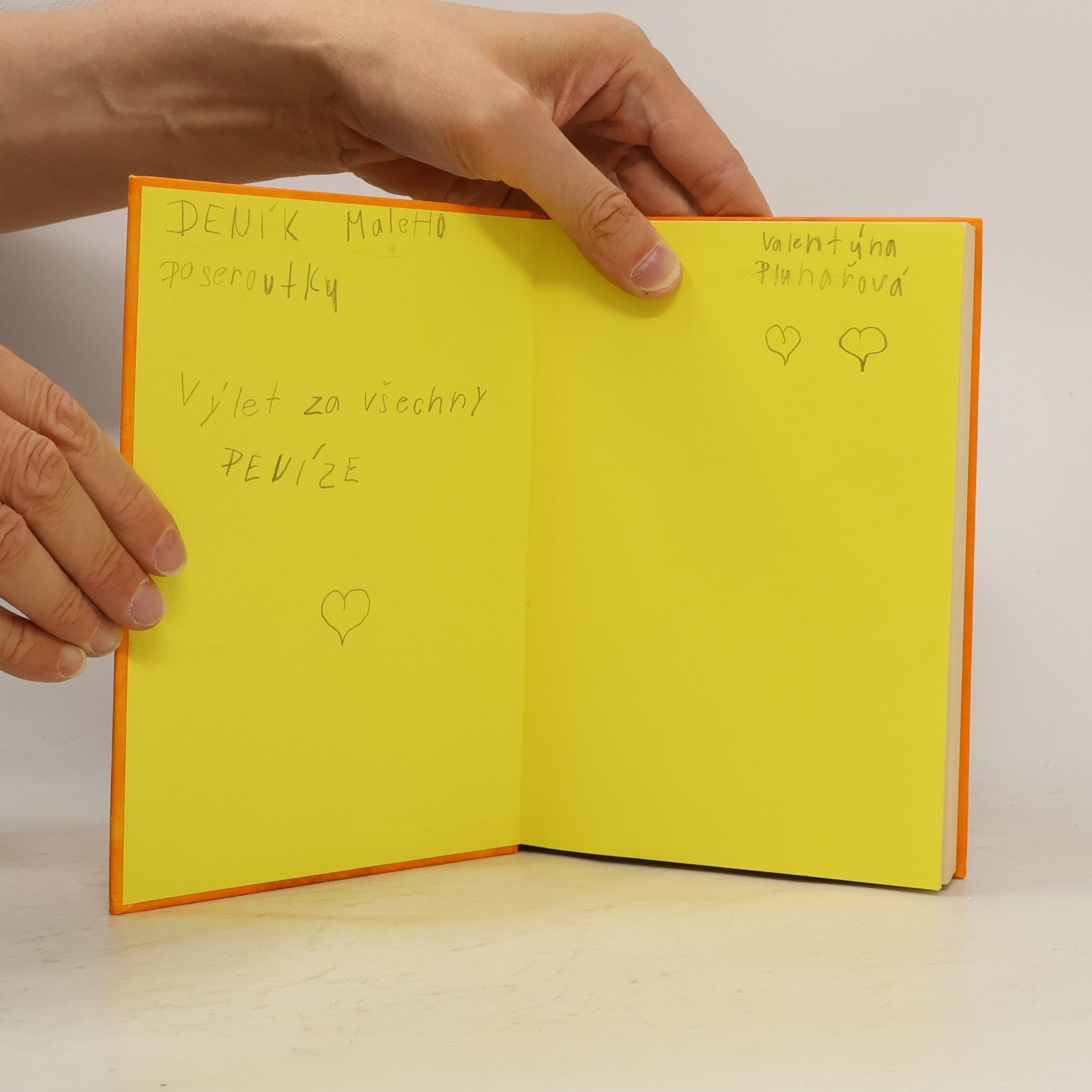 Jeff Kinney Deník malého poseroutky 9. Výlet za všechny peníze