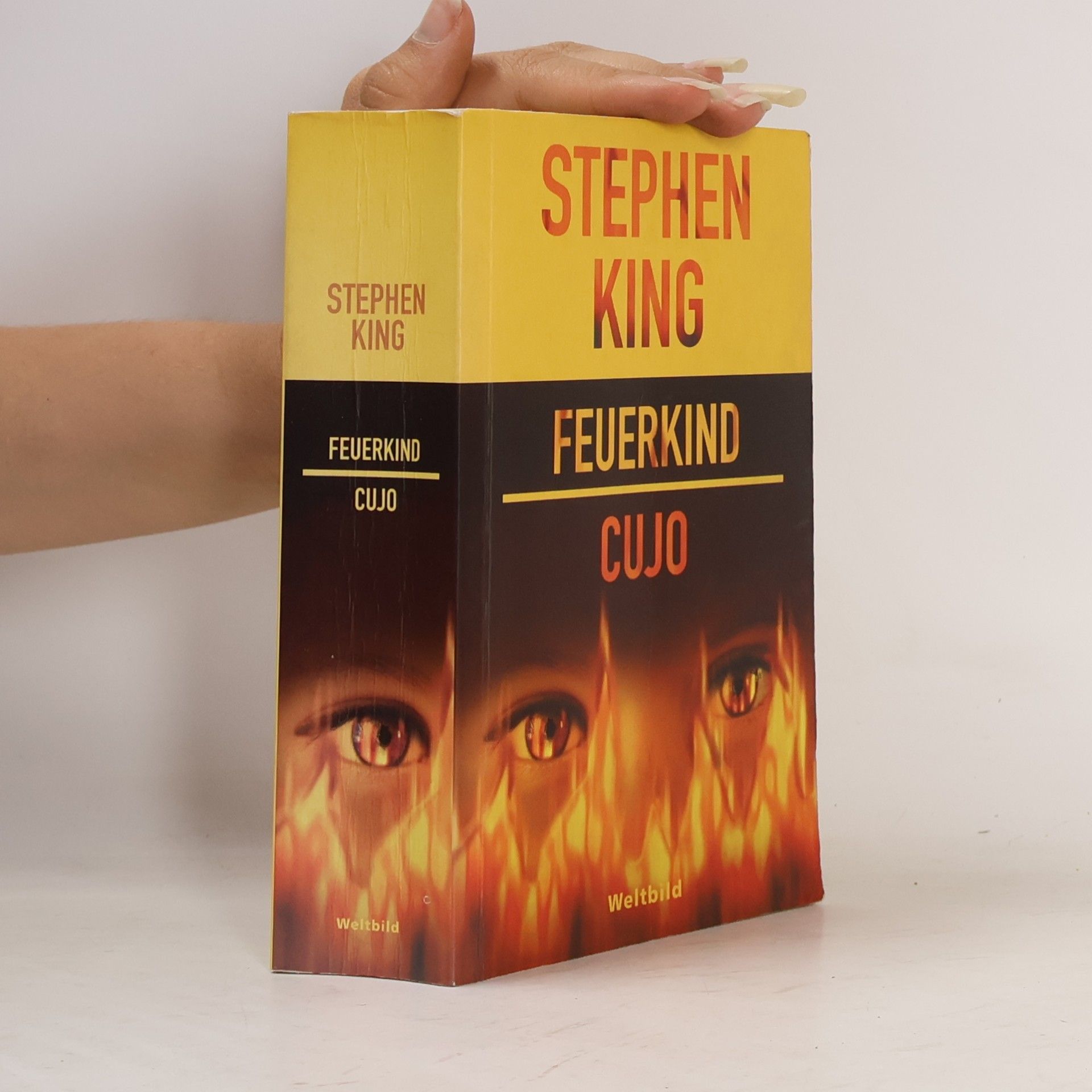 Stephen King Feuerkind; Cujo