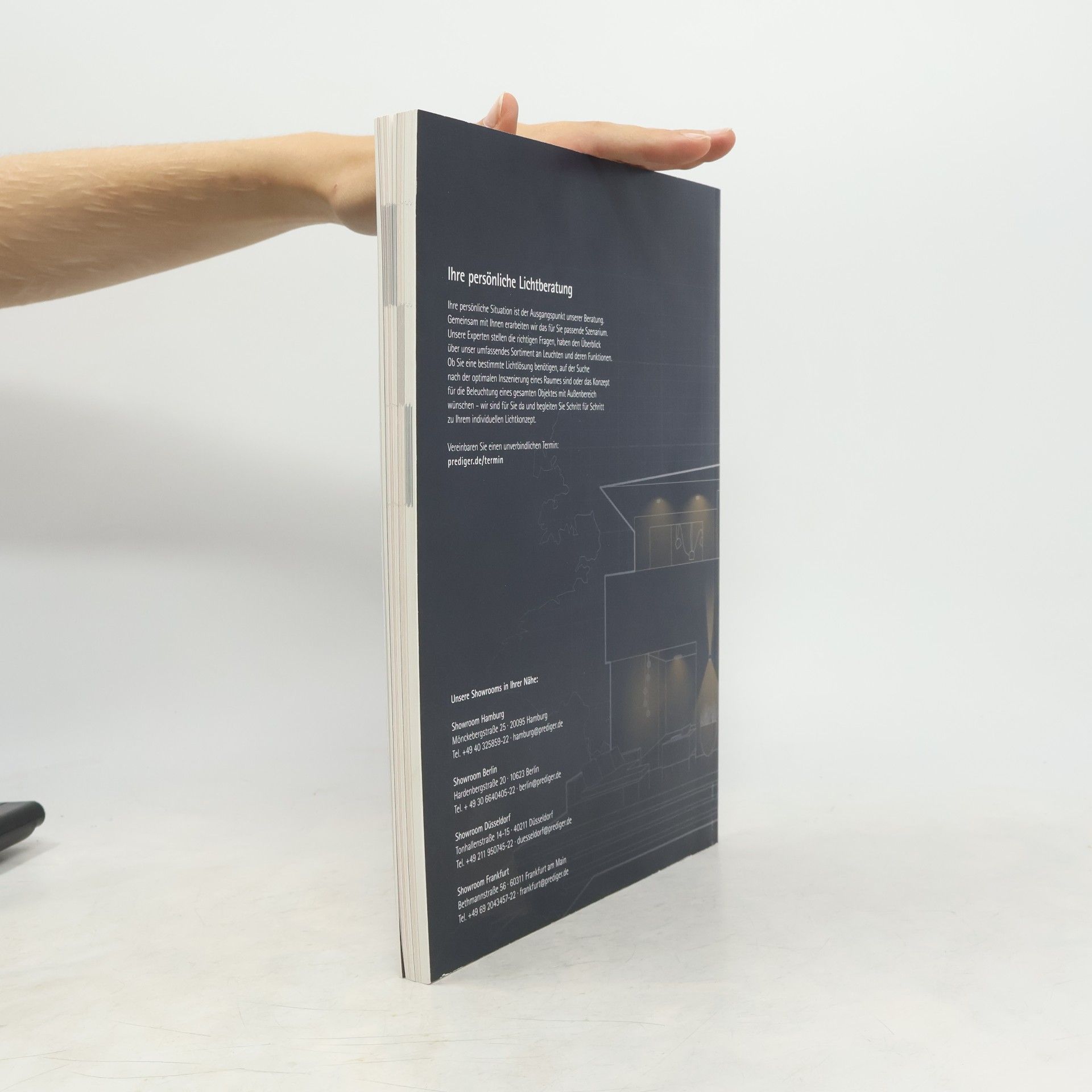 Petra Brink Das Handbuch der Lichtberatung