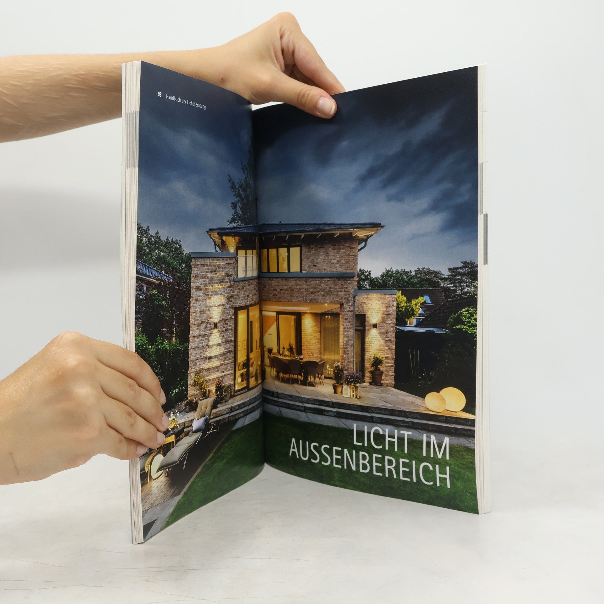 Petra Brink Das Handbuch der Lichtberatung