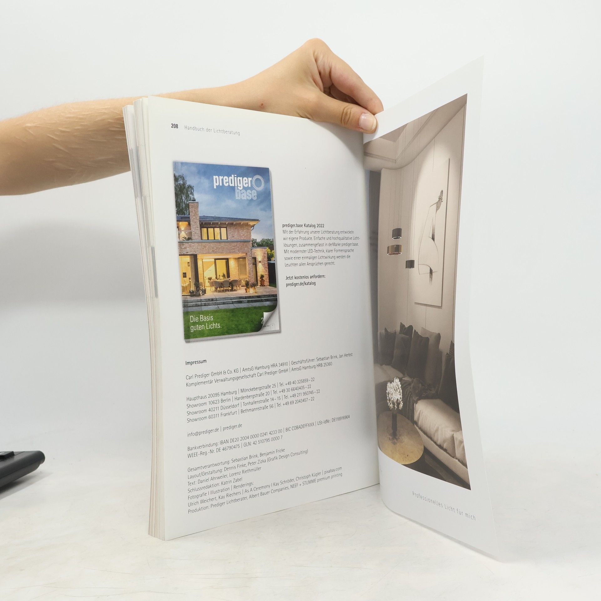 Petra Brink Das Handbuch der Lichtberatung