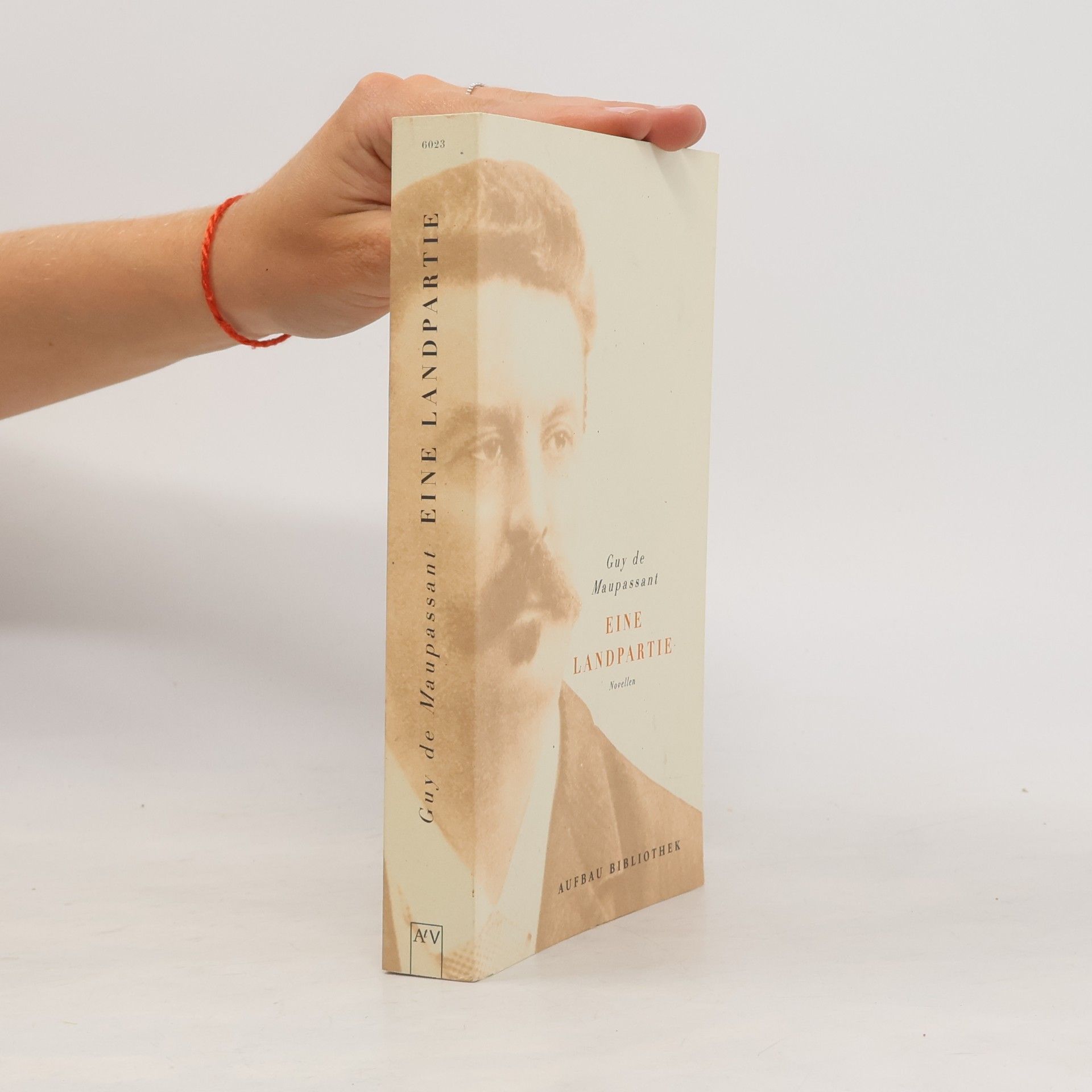 Guy de Maupassant Eine Landpartie