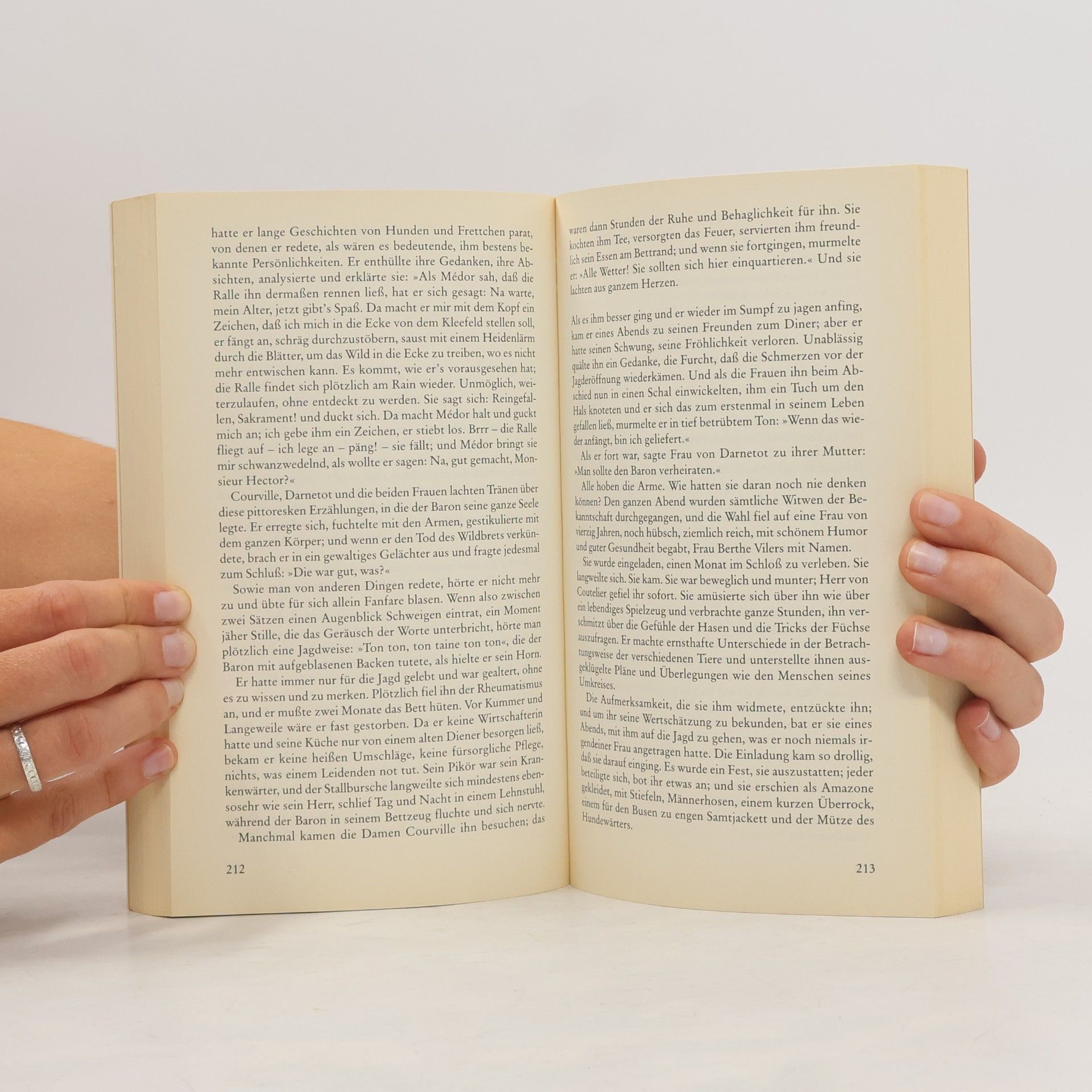 Guy de Maupassant Eine Landpartie